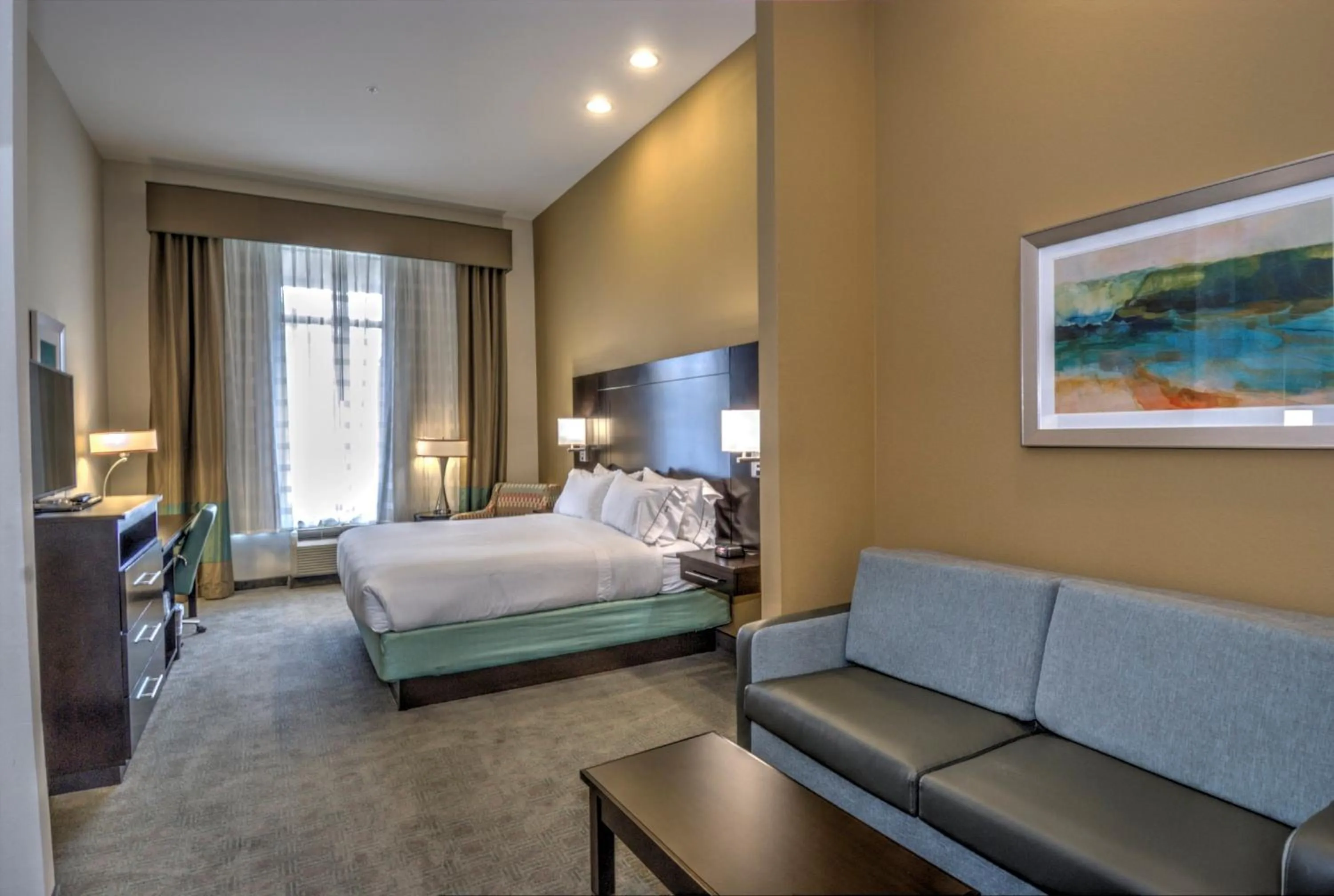 King Suite with Sofa Bed - Mobility Access  in Holiday Inn Express & Suites Austin South by IHG