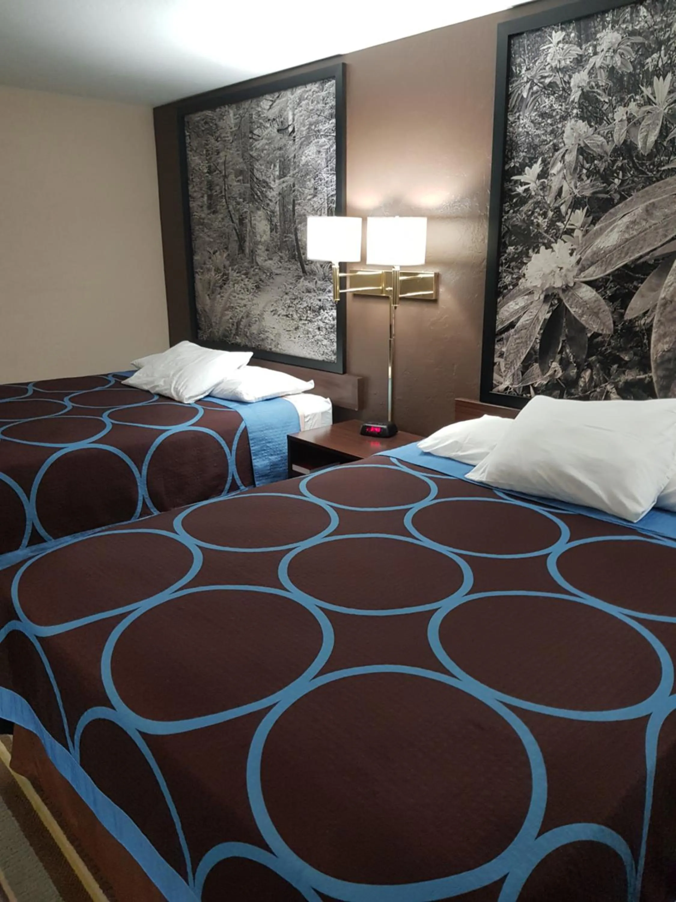Queen Room with Two Queen Beds - Non-Smoking in Super 8 by Wyndham Shelton