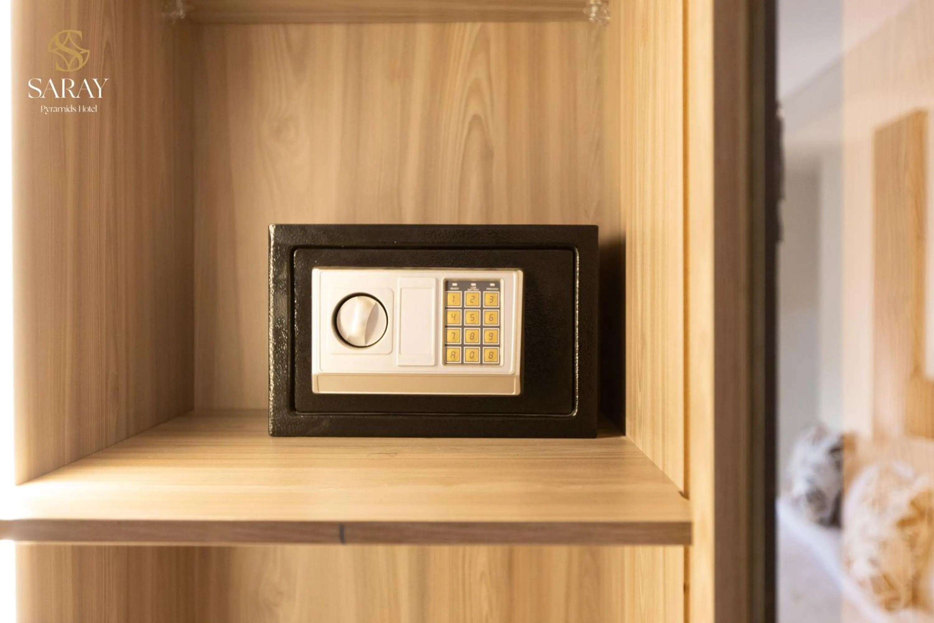 Standard Double or Twin Room in Saray Pyramids & Museum View Hotel