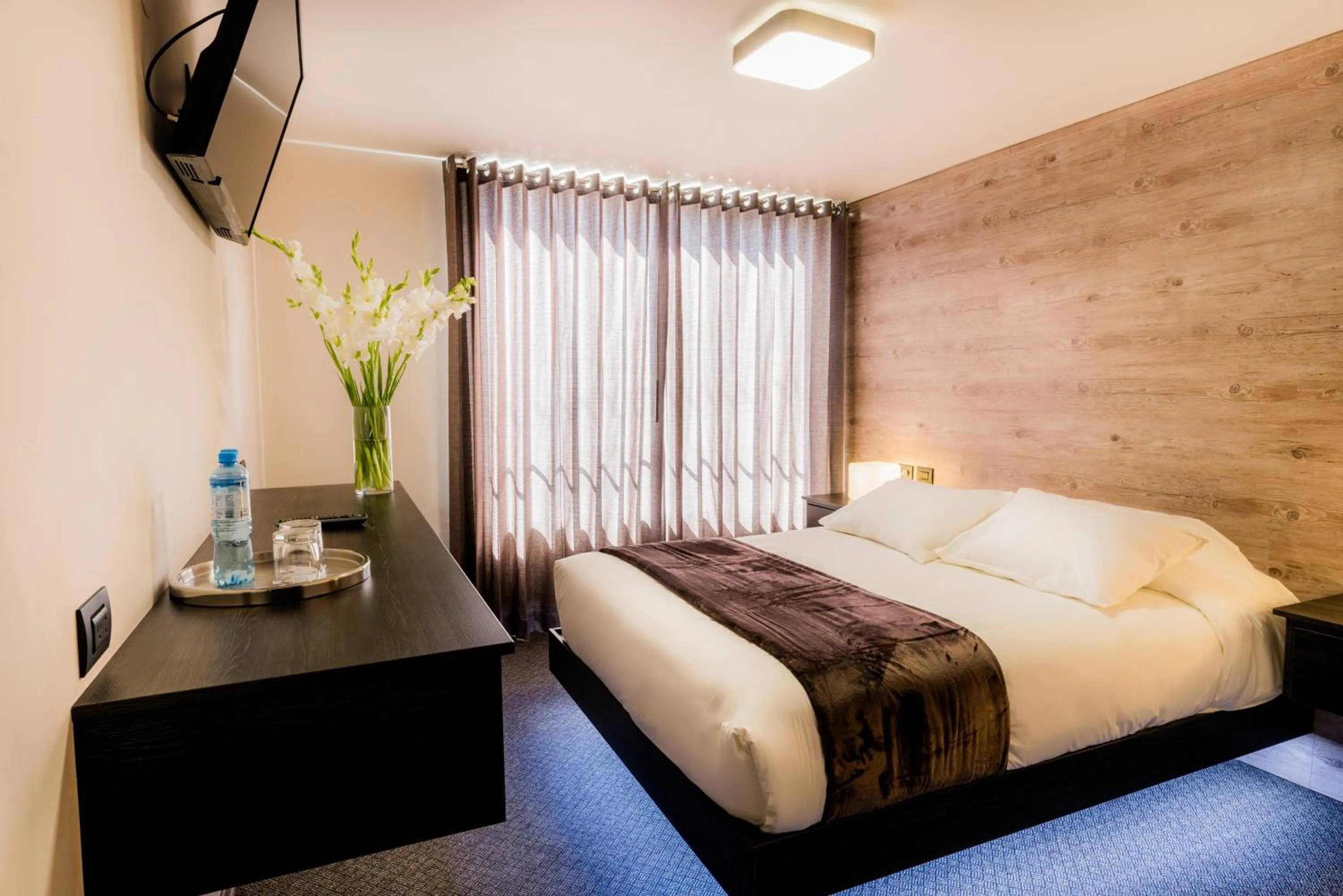 Queen Room in Hotel Viza