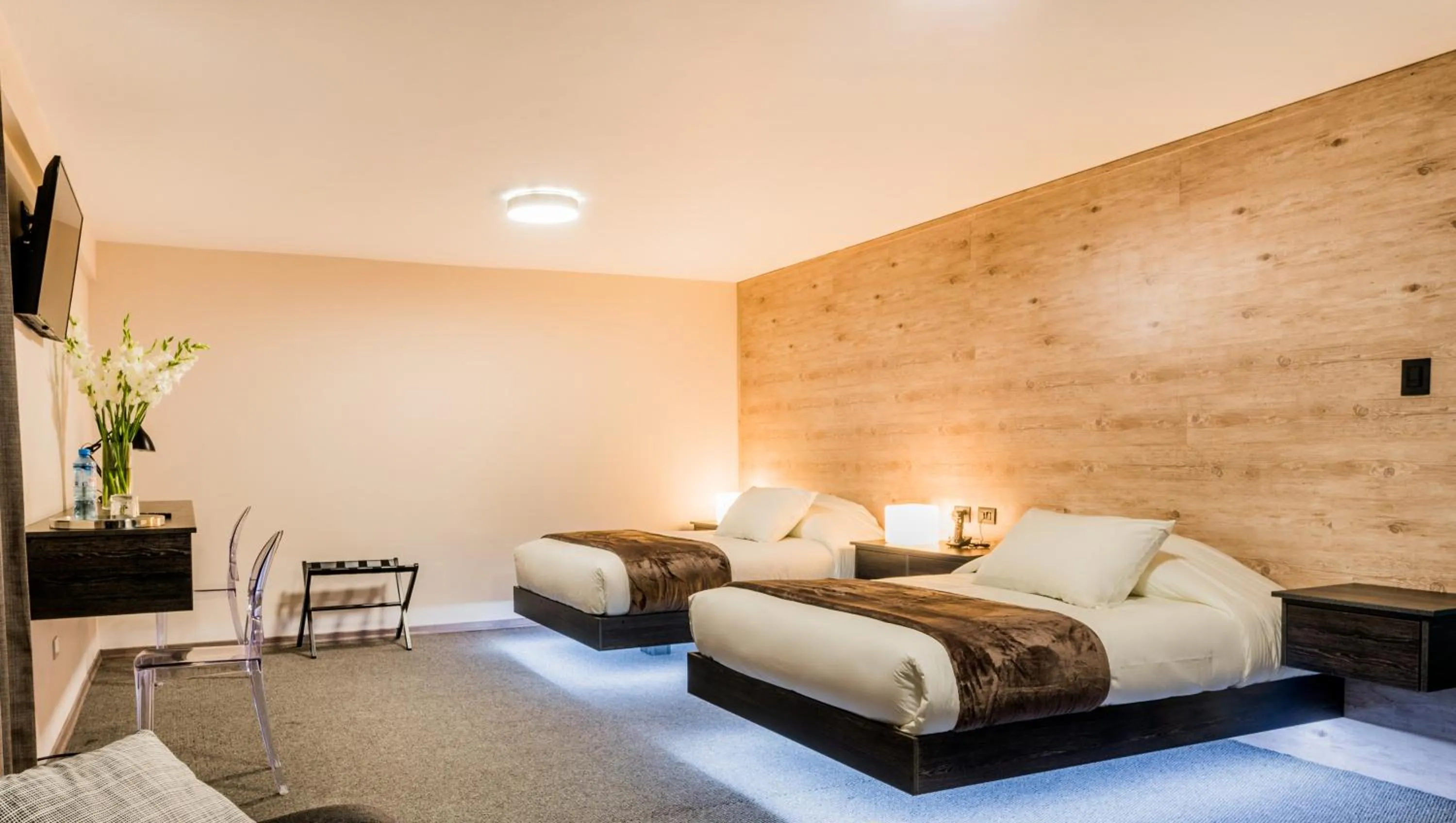 Twin Room in Hotel Viza