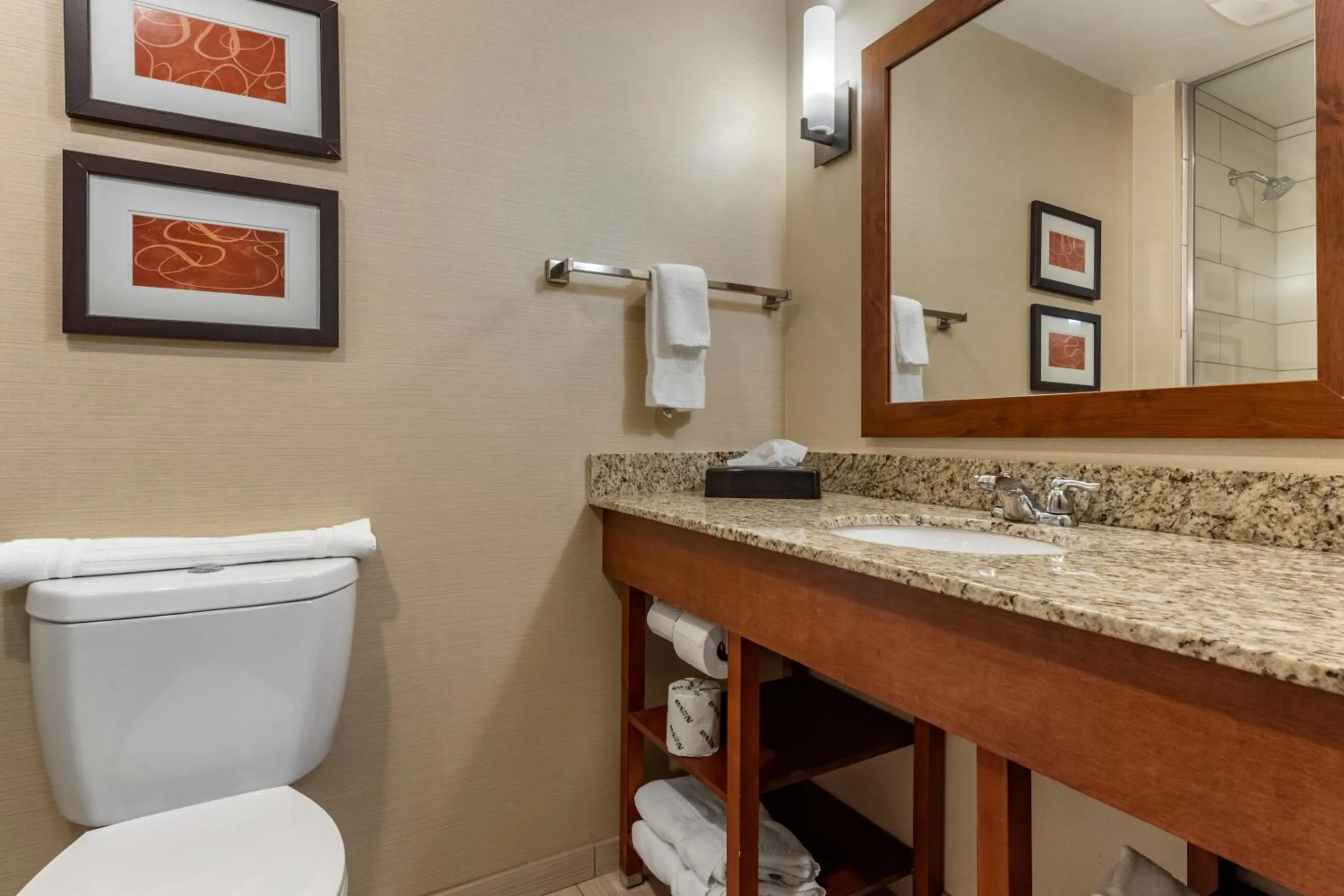 Efficiency King Suite - Accessible/Non-Smoking in Comfort Suites Bridgeport - Clarksburg