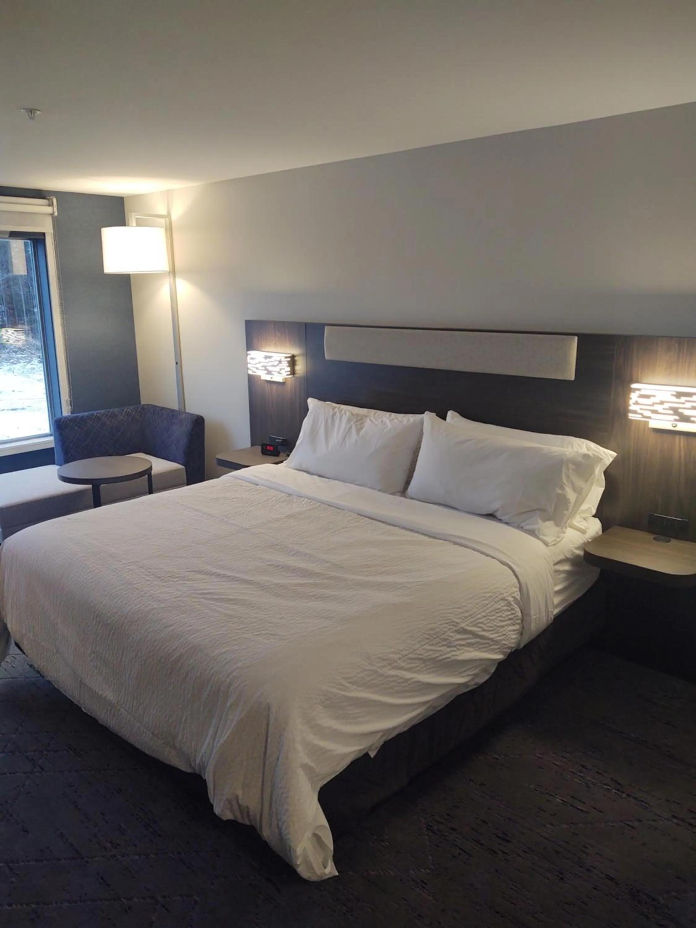 Standard King Room with Roll In Shower - Communications/Mobility Accessible in Holiday Inn Express & Suites Rhinelander by IHG
