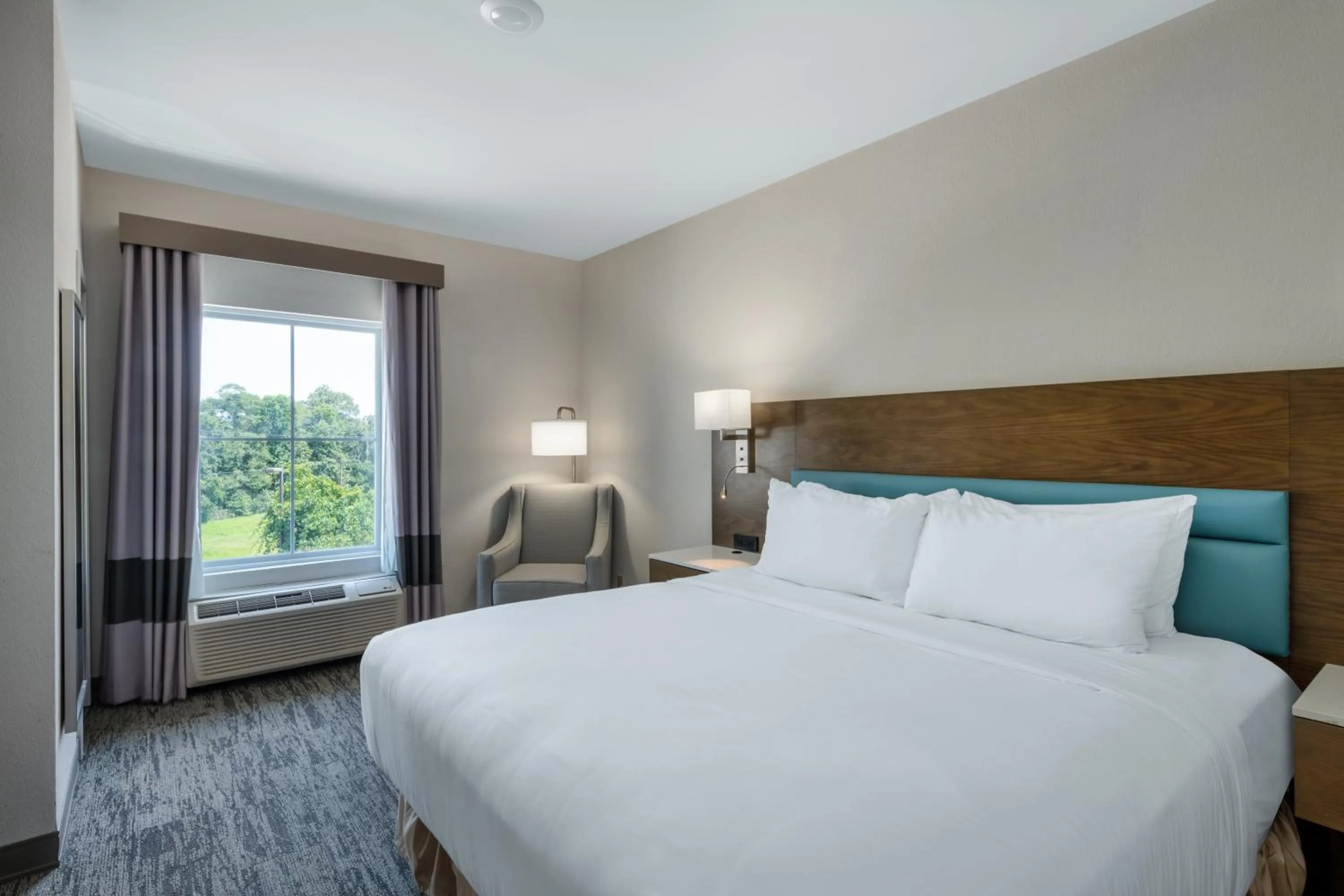 One-Bedroom King Family Suite, Non-Smoking in TRYP by Wyndham Tallahassee North I-10 Capital Circle