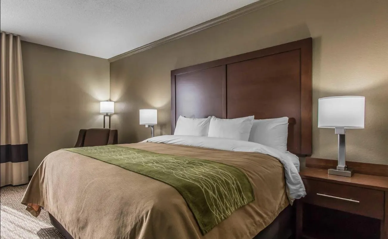 King Room - single occupancy in Comfort Inn Jackson
