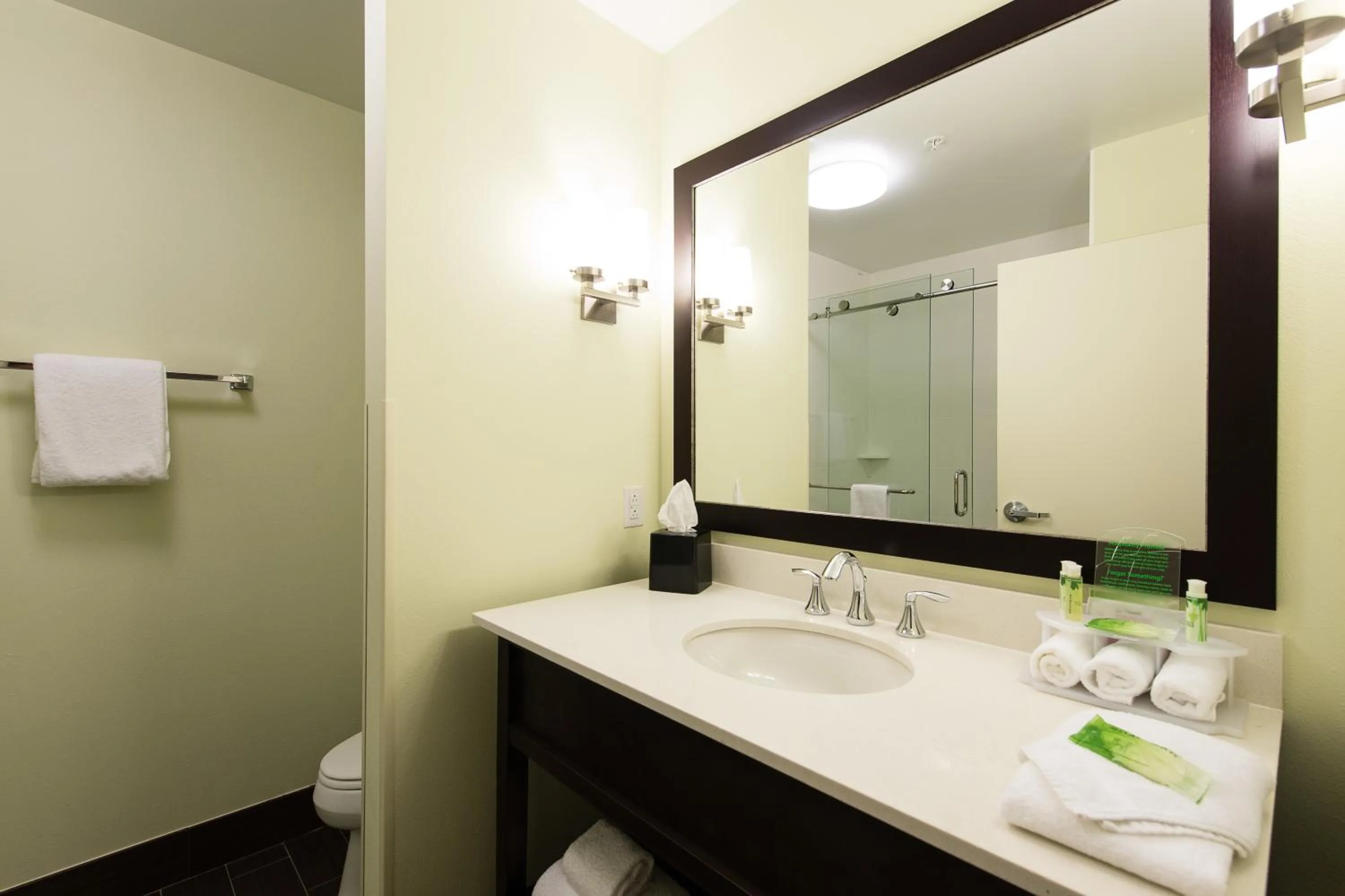 King Suite in Holiday Inn Express & Suites Aiken by IHG