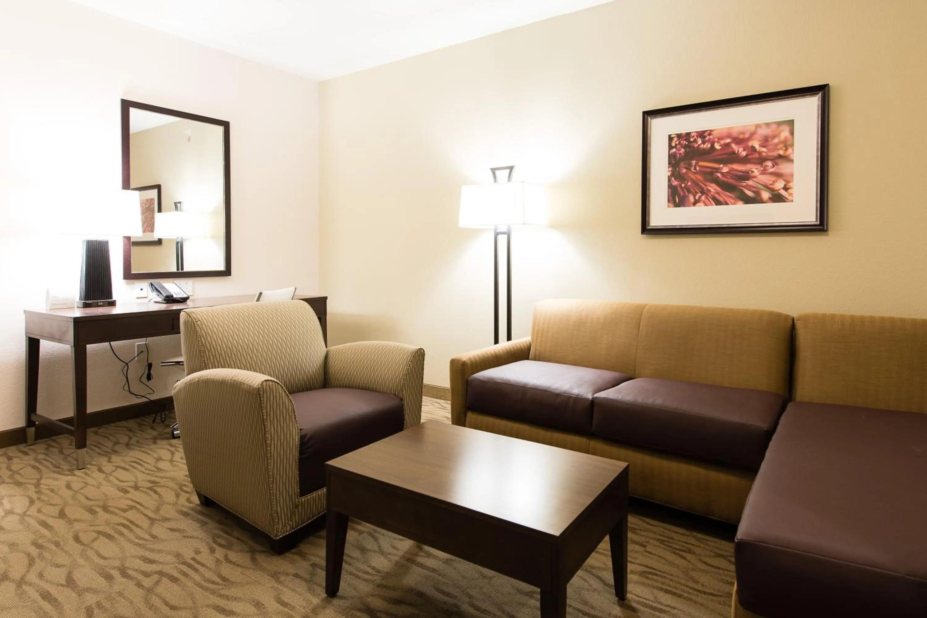 One-Bedroom Suite in Holiday Inn Express & Suites Aiken by IHG