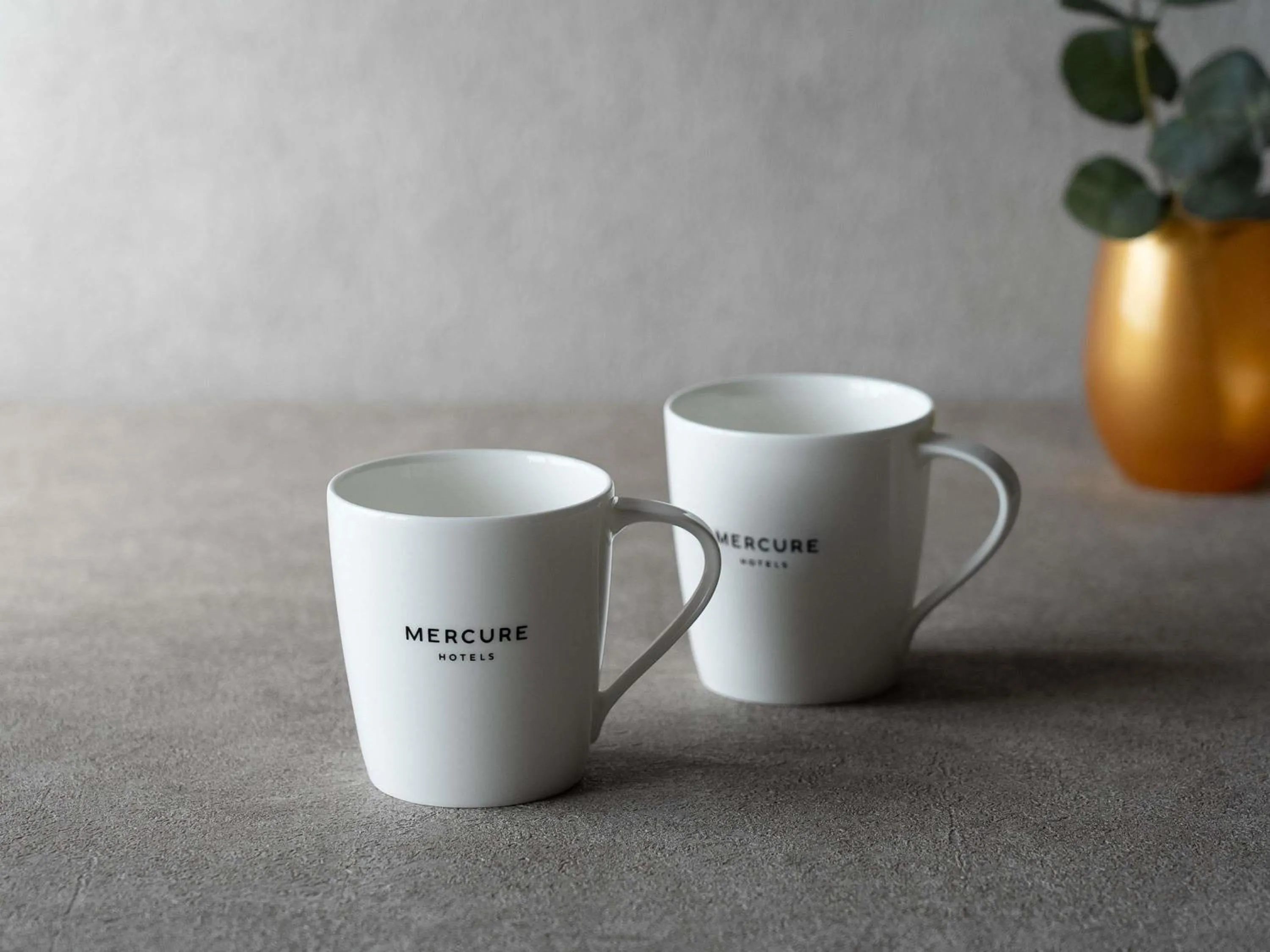 Japanese Style Classic Room with Five Futon Beds and Mountain View in Mercure Urabandai Resort & Spa