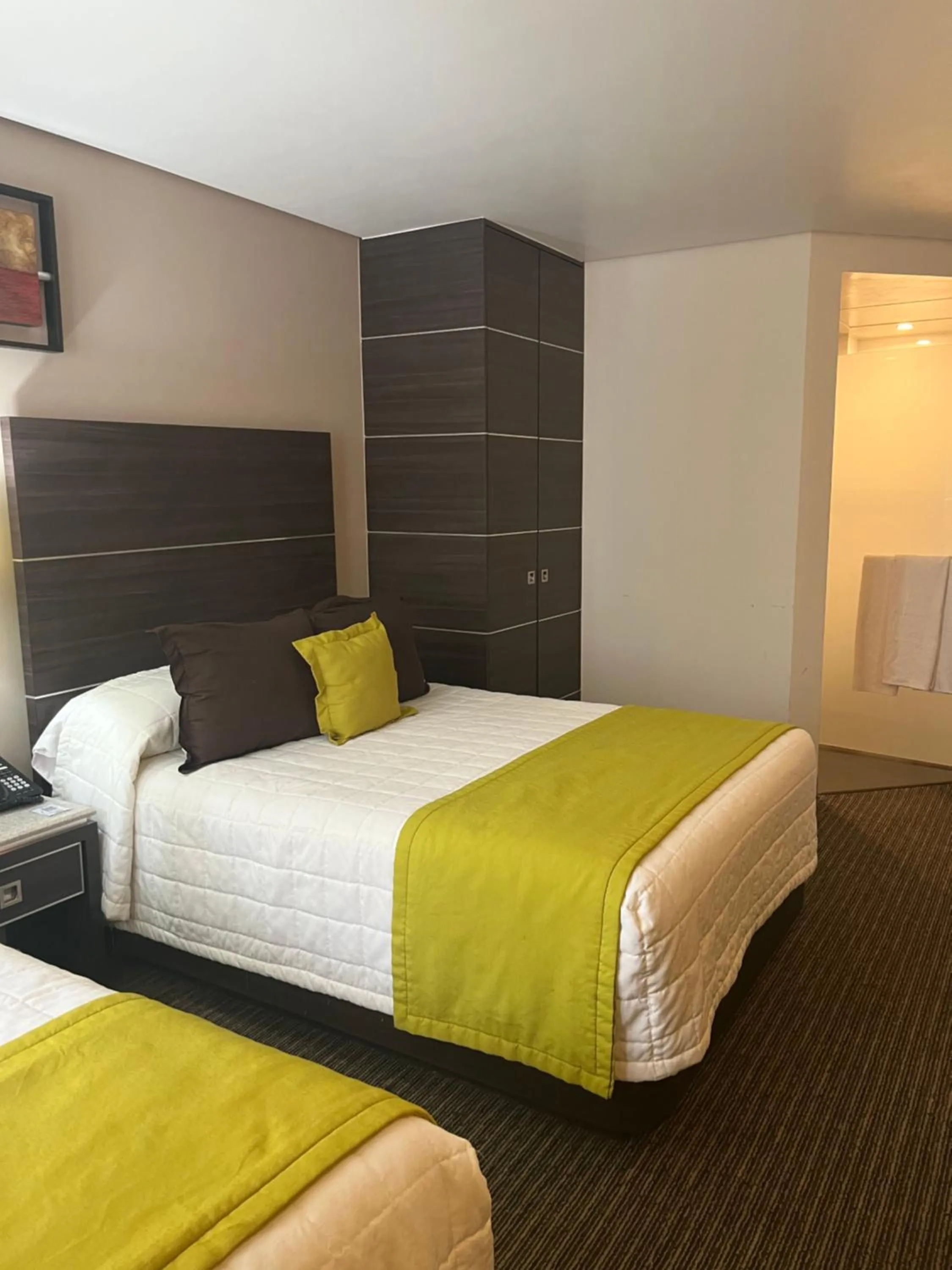 Twin Room - Disability Access in Hotel Real Alameda de Queretaro