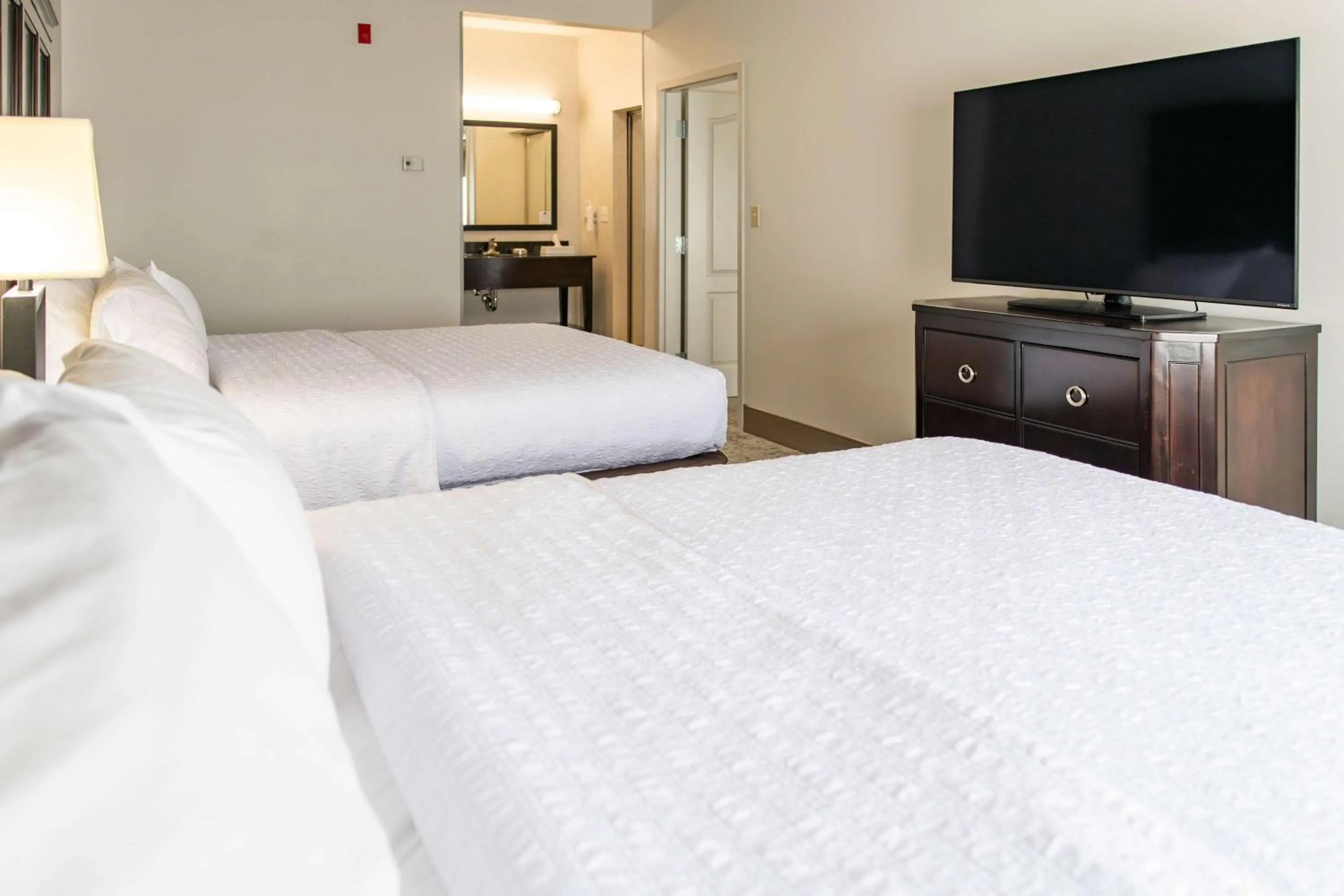 One-Bedroom Queen Suite - Non-Smoking in Hampton Inn & Suites Effingham