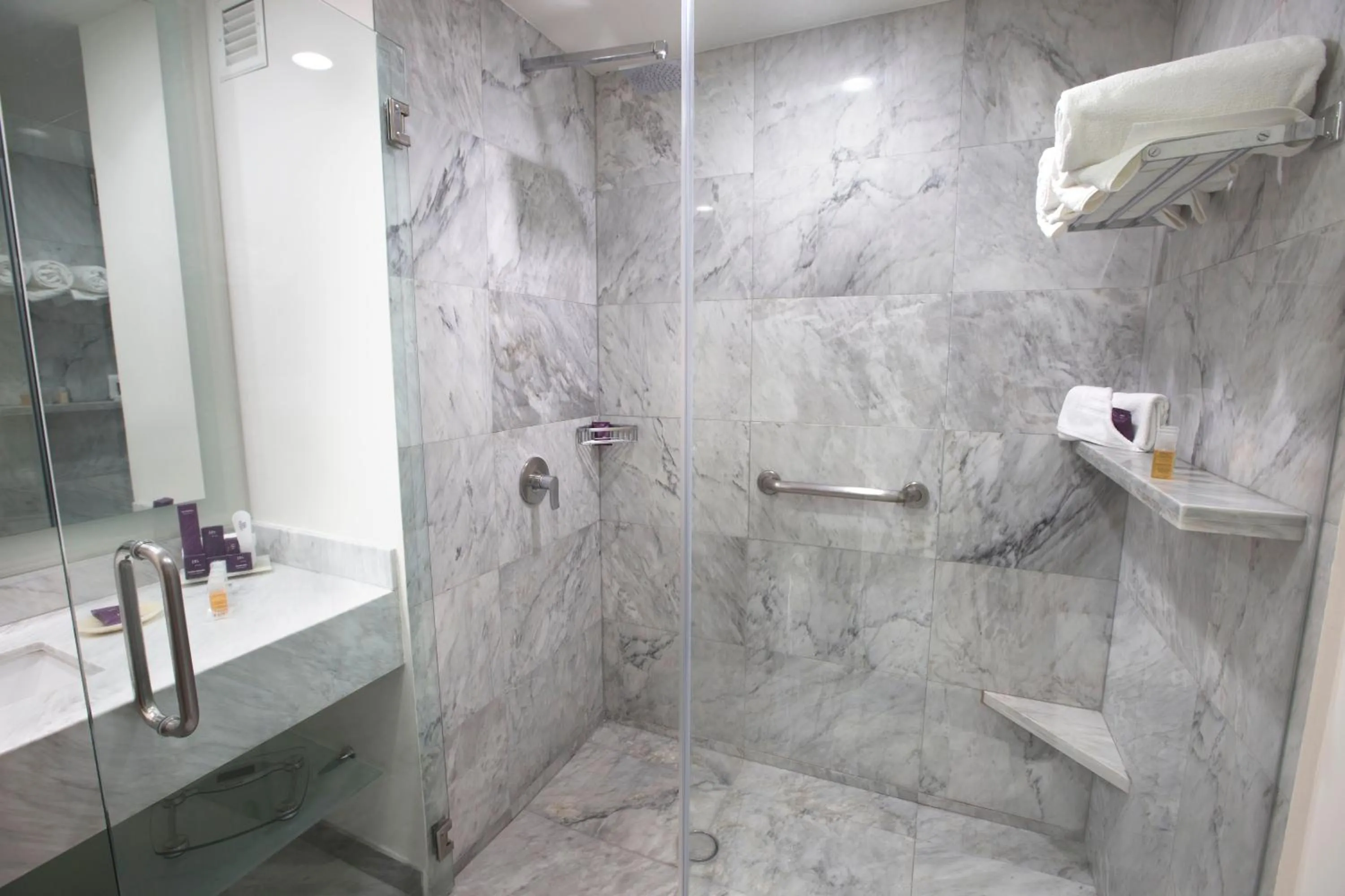 Junior Suite in HS HOTSSON Hotel Queretaro