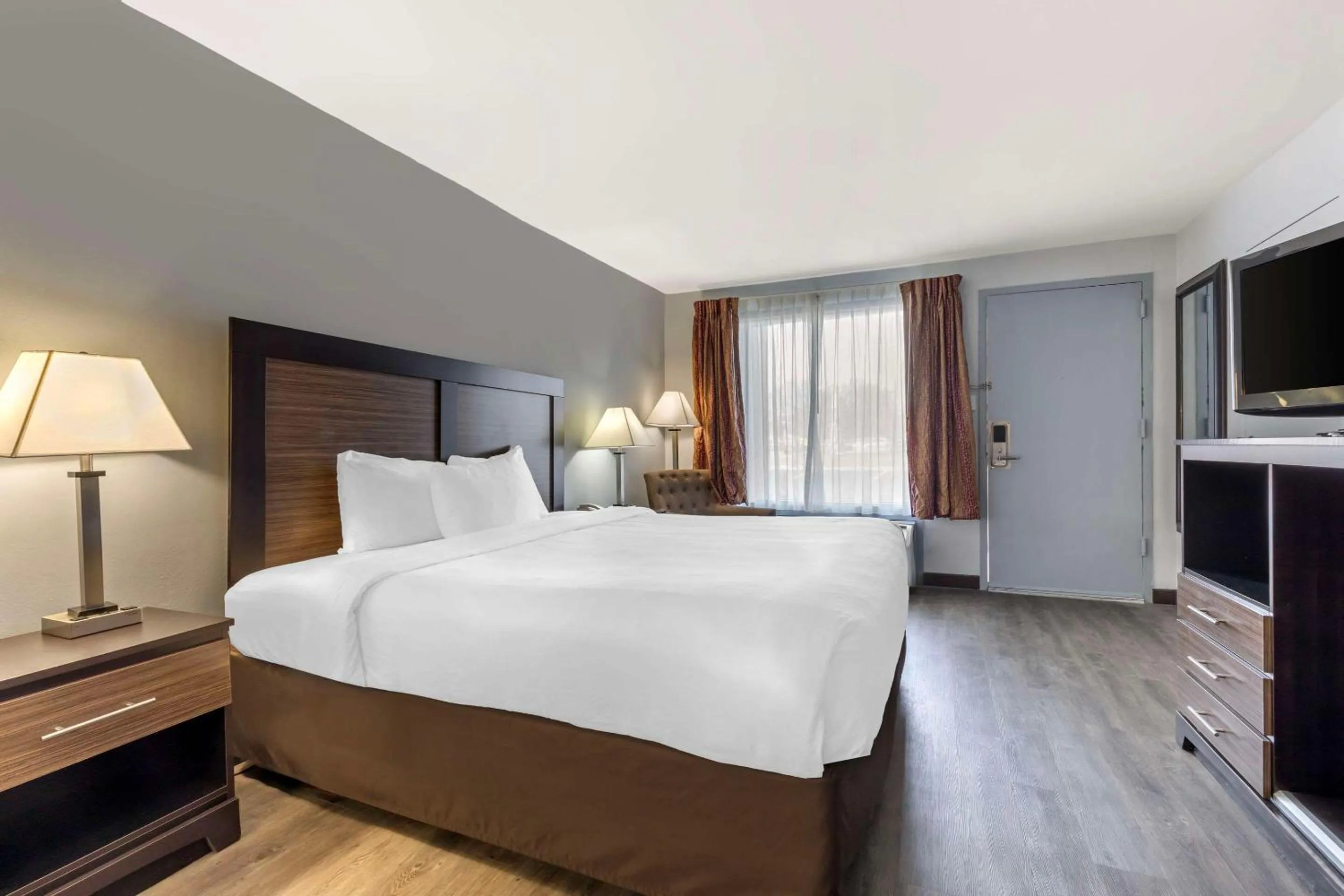 Efficiency Queen Room - Disability Access/Non Smoking in Suburban Studios Gainesville