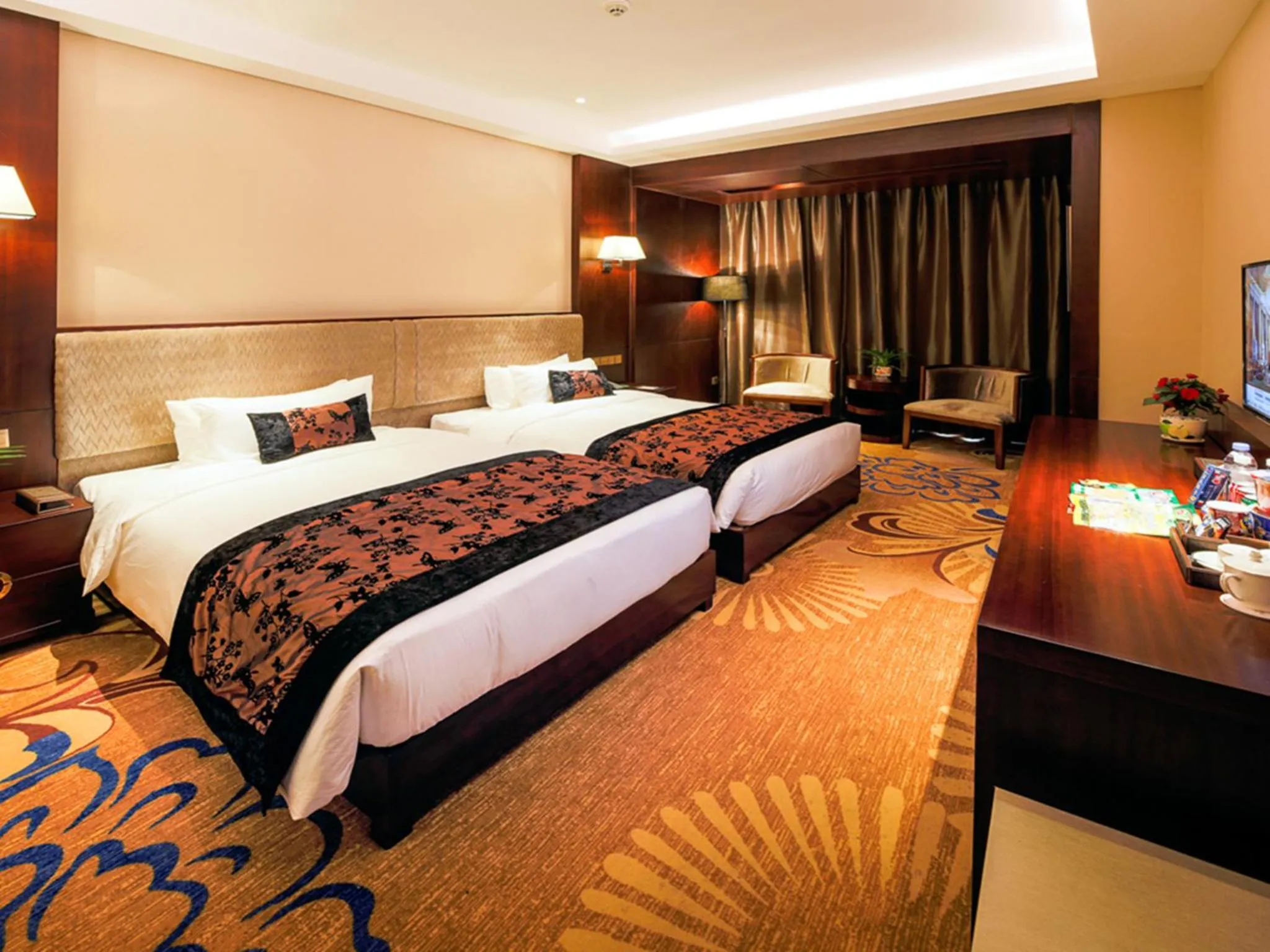 Deluxe Twin Room in Sport Hotel