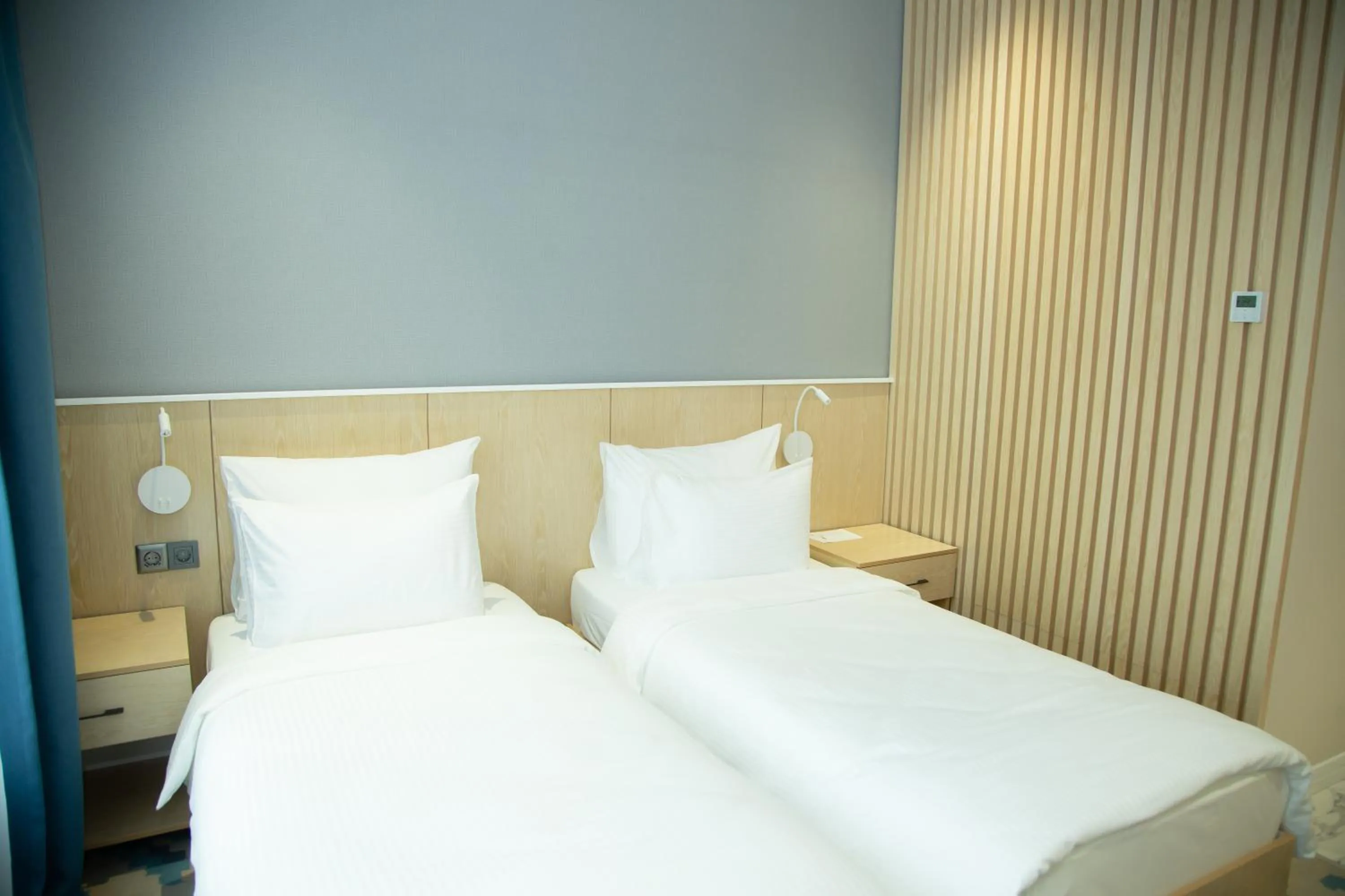 Superior Twin Room in Park Dedeman Almaty