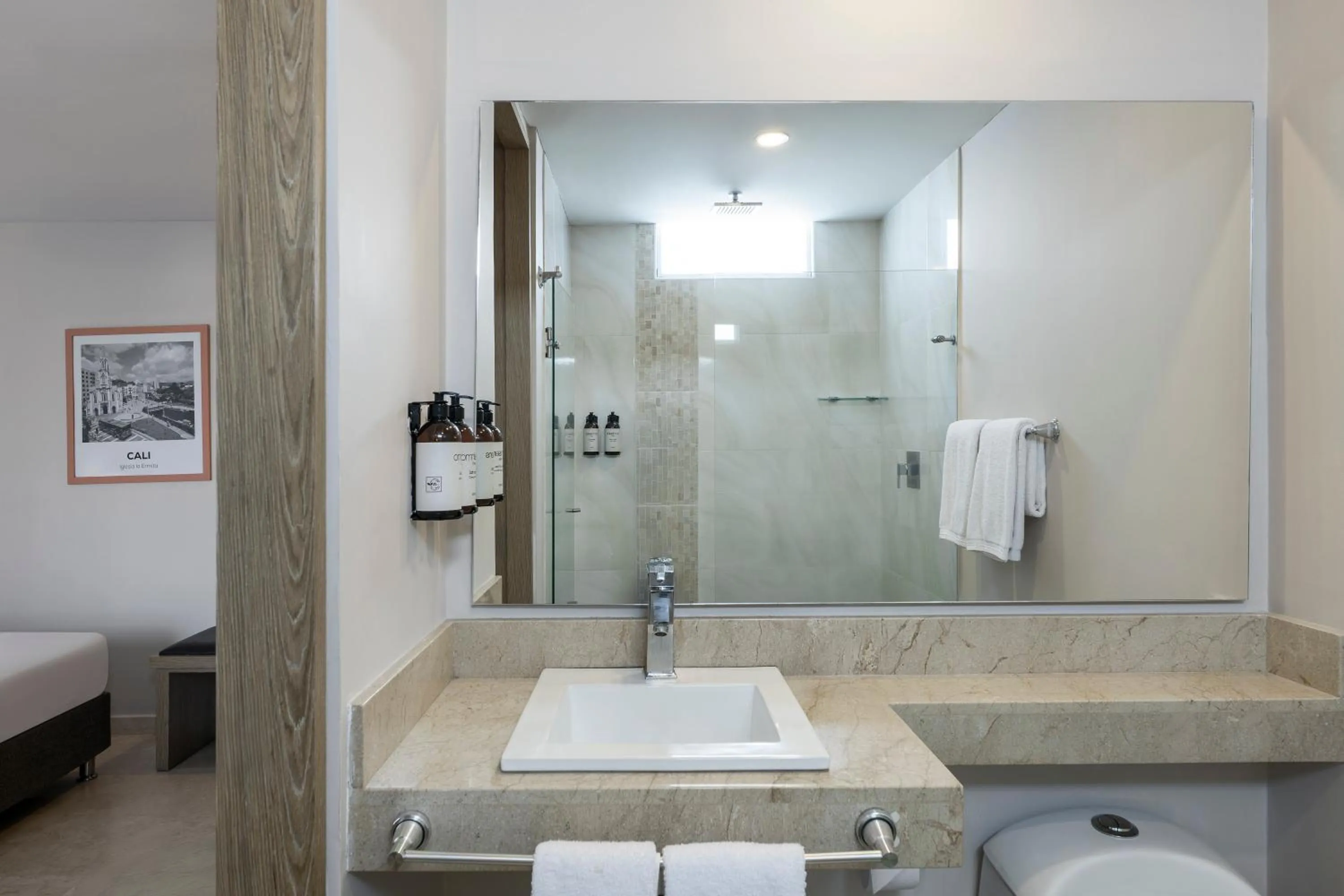 Superior Twin Room - single occupancy in Hotel MS Ciudad Jardin