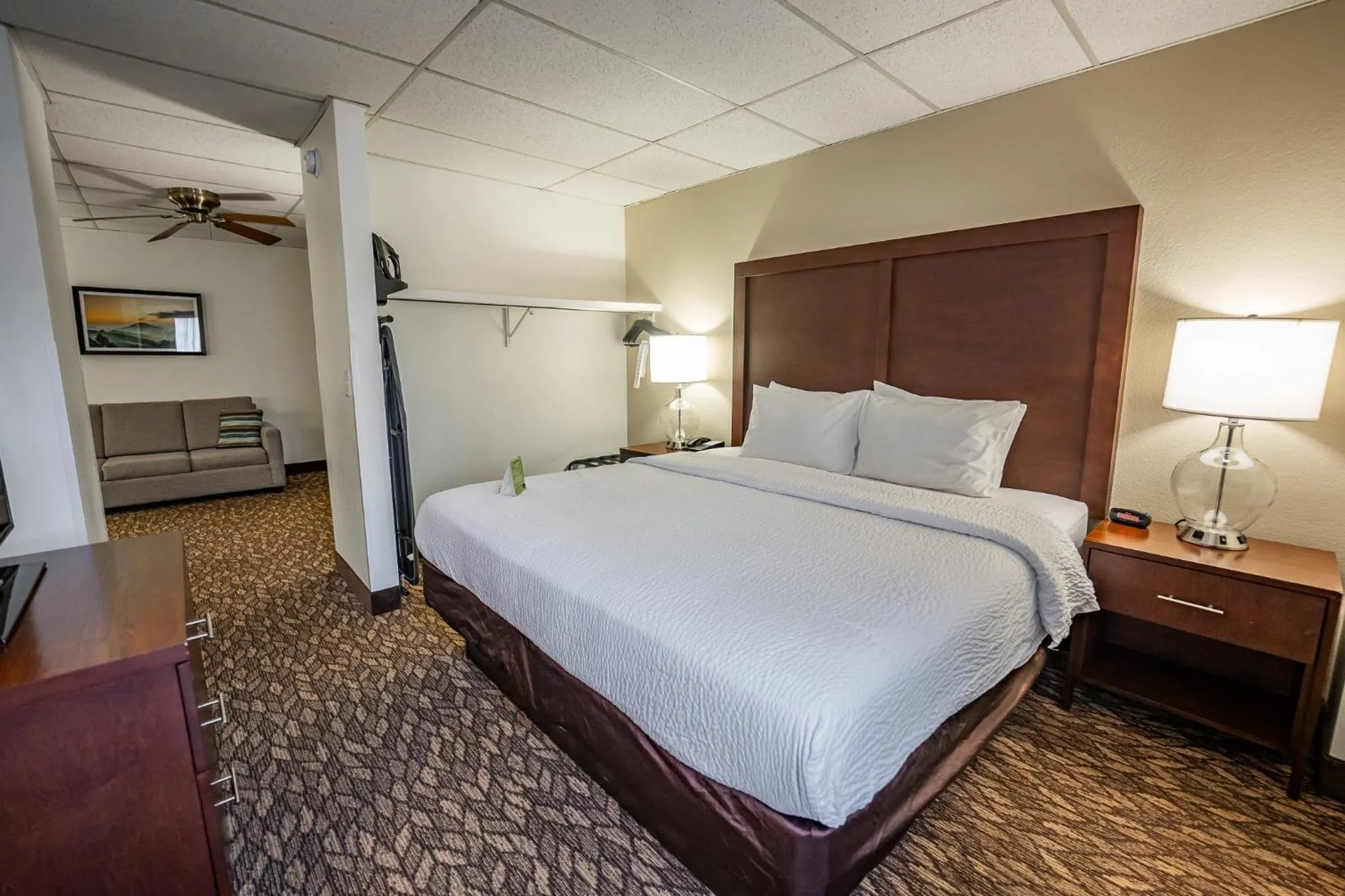 Deluxe King Suite in Christopher Inn and Suites