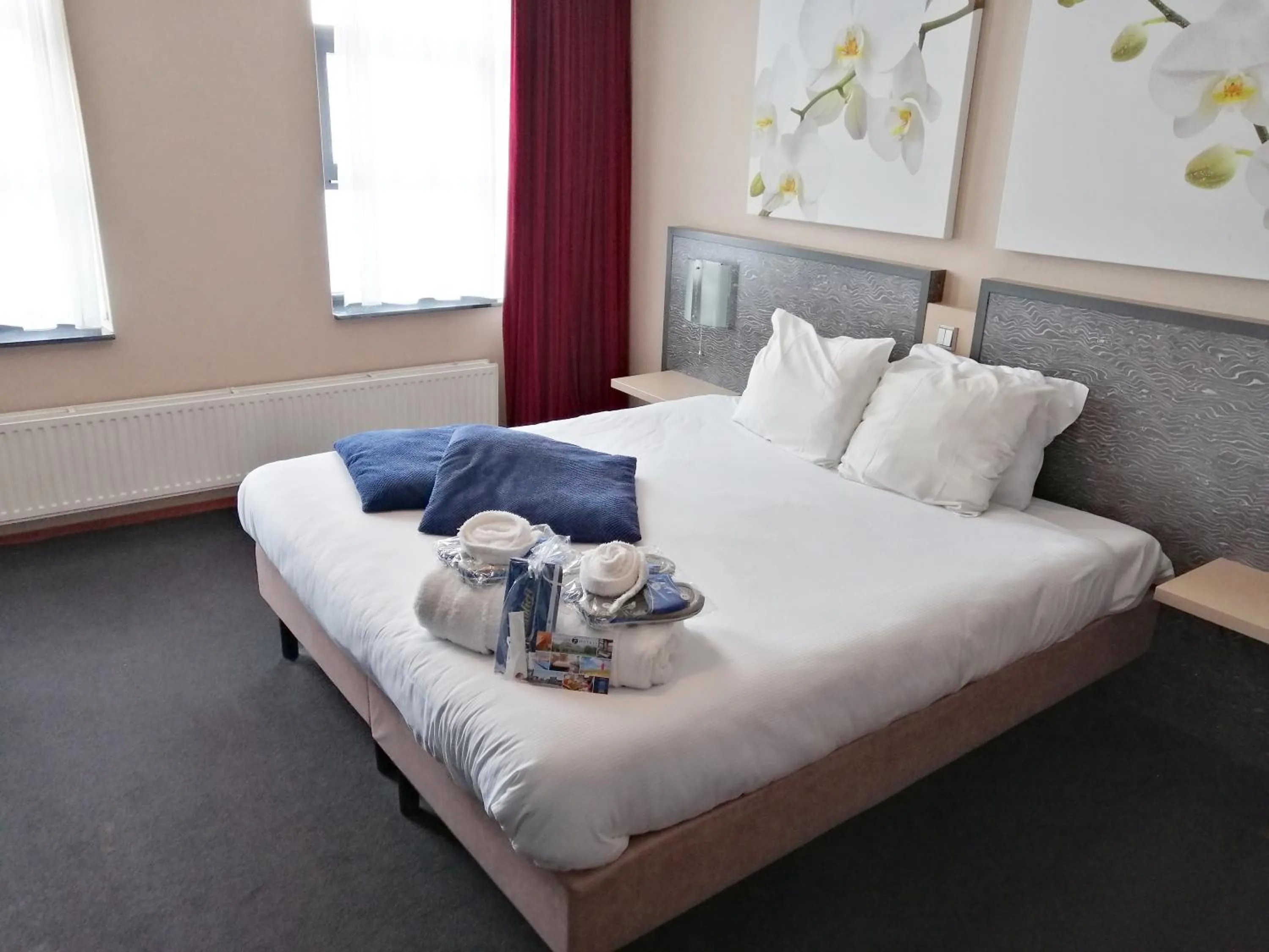 Executive Suite in Fletcher Wellness-Hotel Trivium