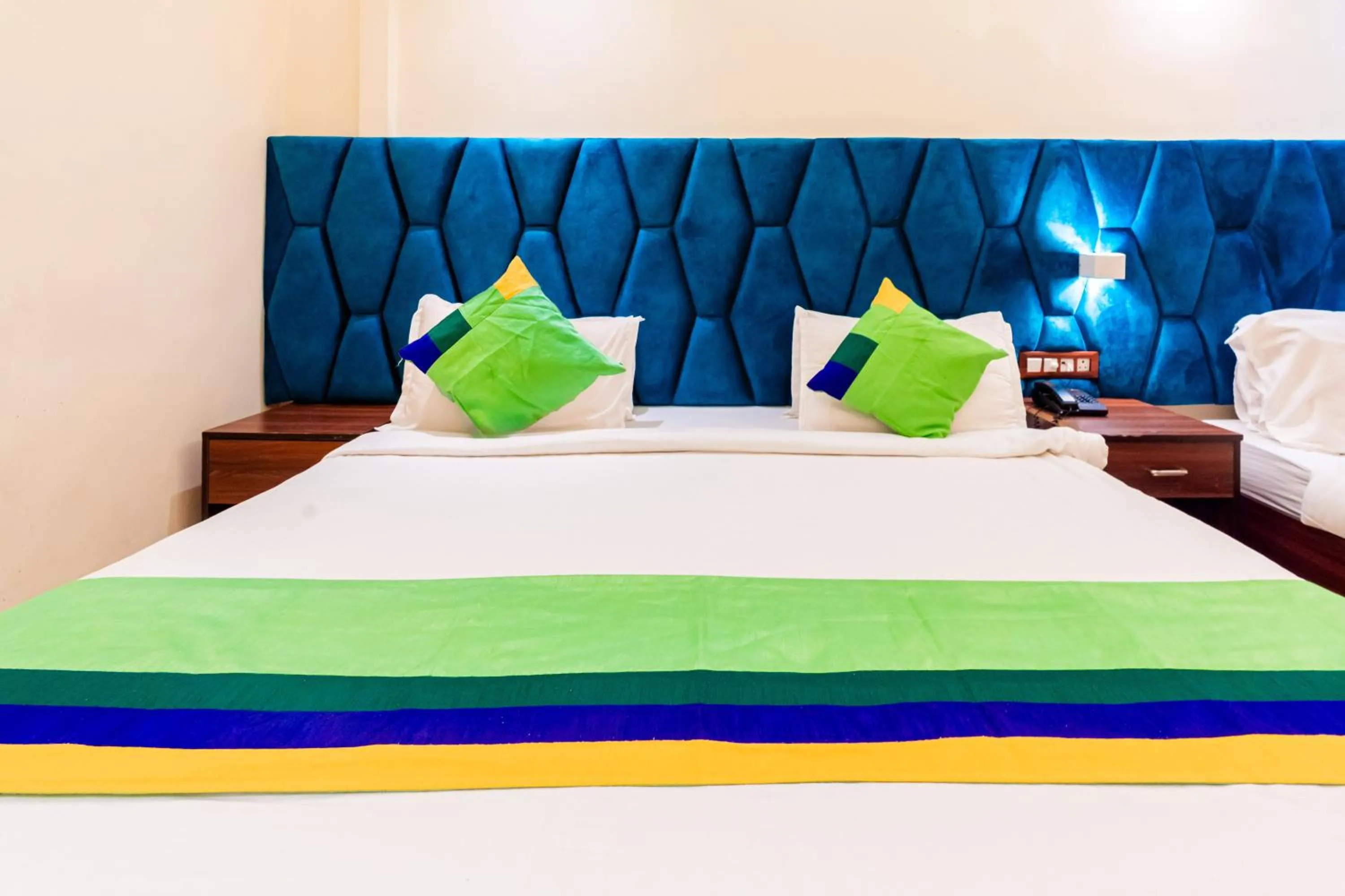 Standard Double Room - single occupancy in Treebo Express Inn