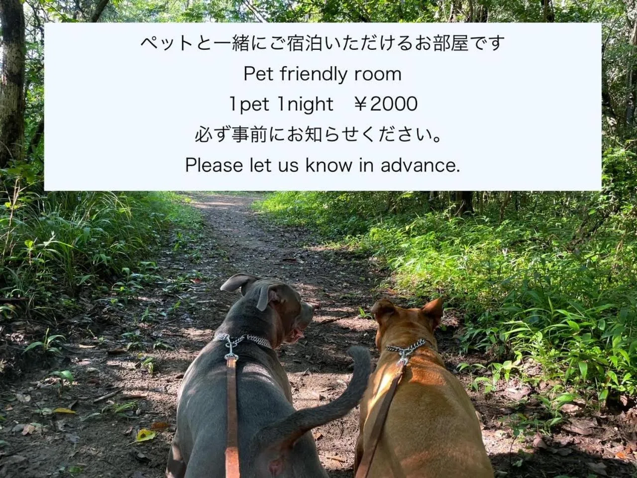 Family Room with Private Bathroom in Tabist Guest house Pumping Surf