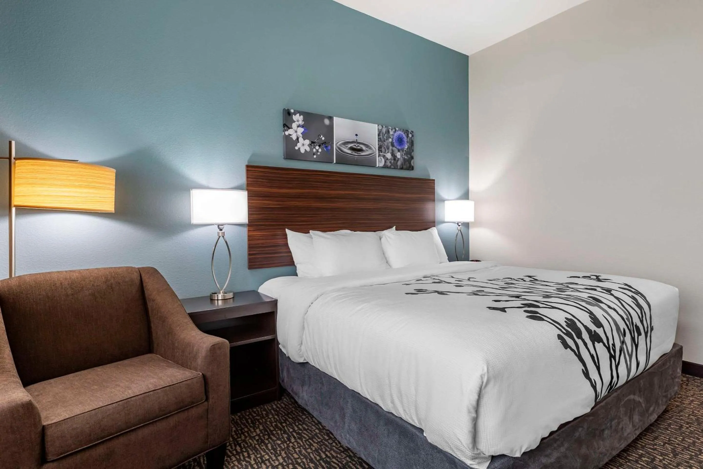 King Room - Non Smoking in Sleep Inn & Suites Milwaukee-Franklin