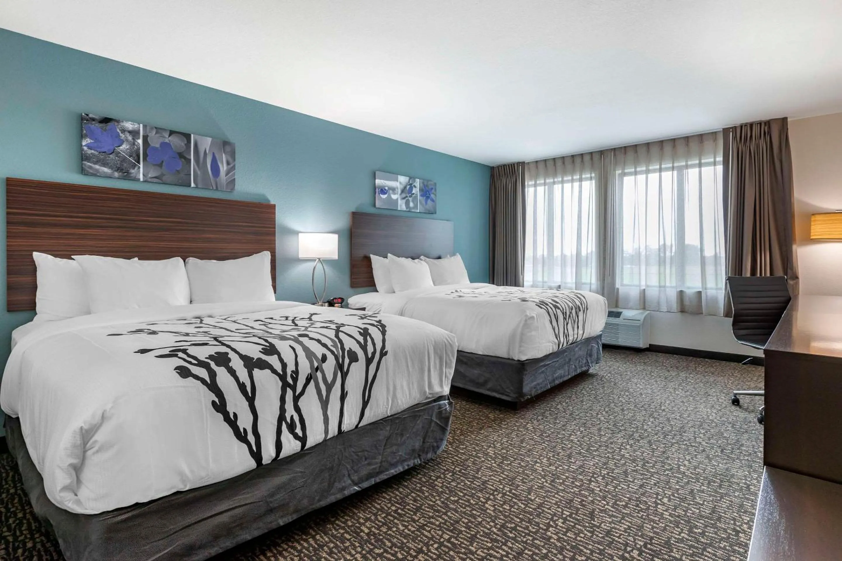 Queen Room with Two Queen Beds - Non Smoking in Sleep Inn & Suites Milwaukee-Franklin