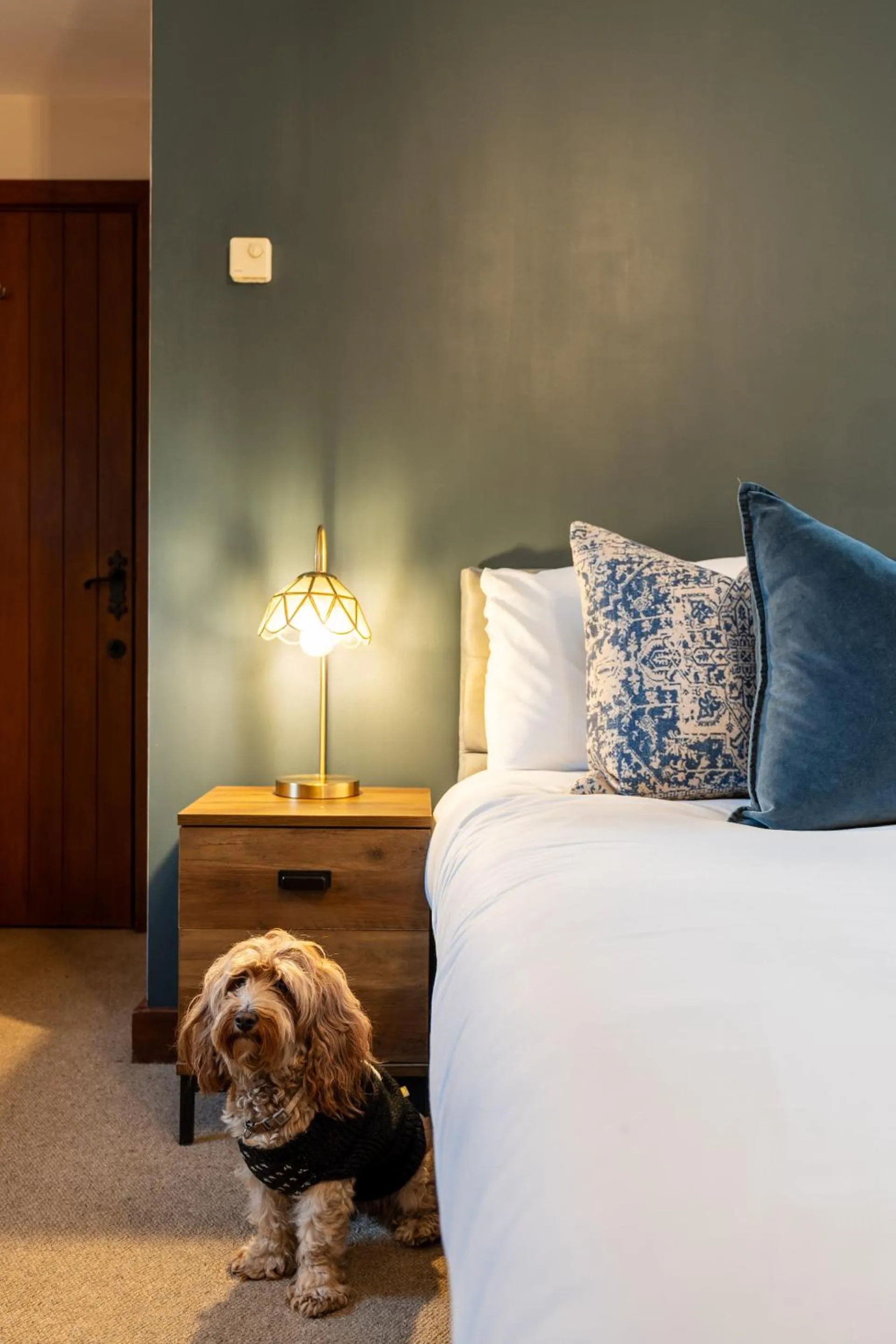 Deluxe Double Room with Shower - single occupancy in The Bull on the Green