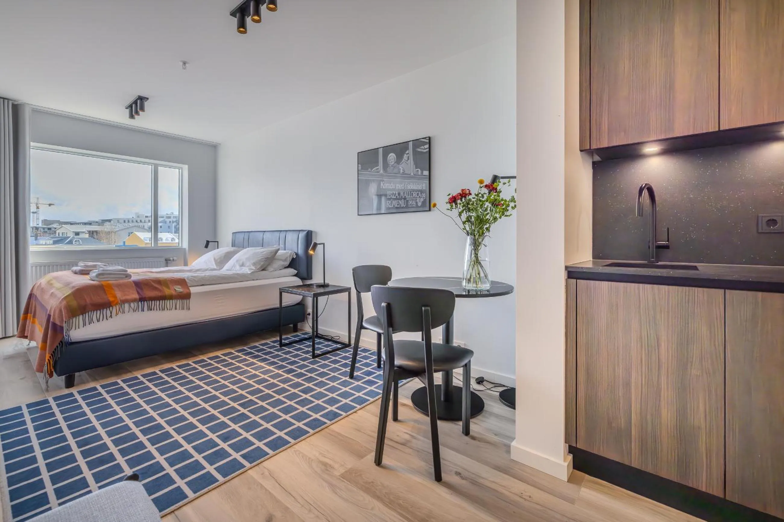 Superior Studio in Hlemmur Suites