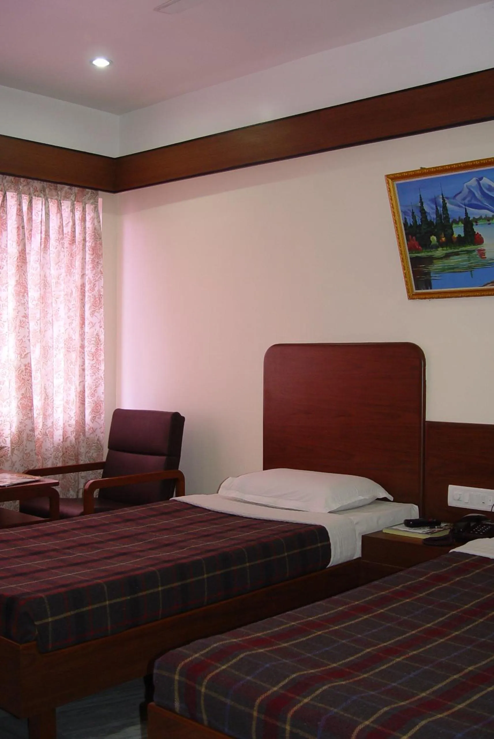 Standard Double or Twin Room in Hotel Supreme