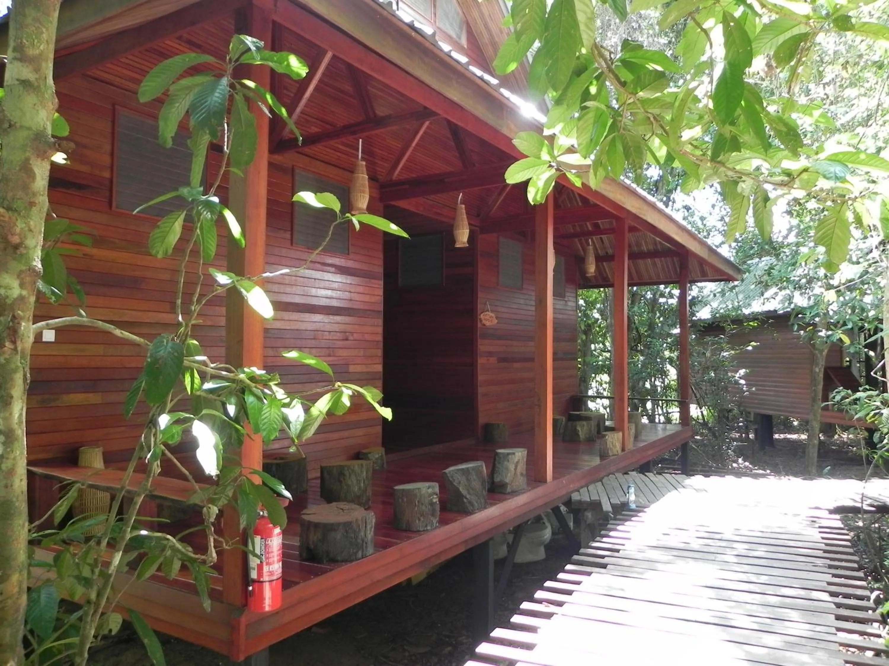 Single Bed in Mixed Dormitory Room (2D 1N Package) in Borneo Natural Sukau Bilit Resort