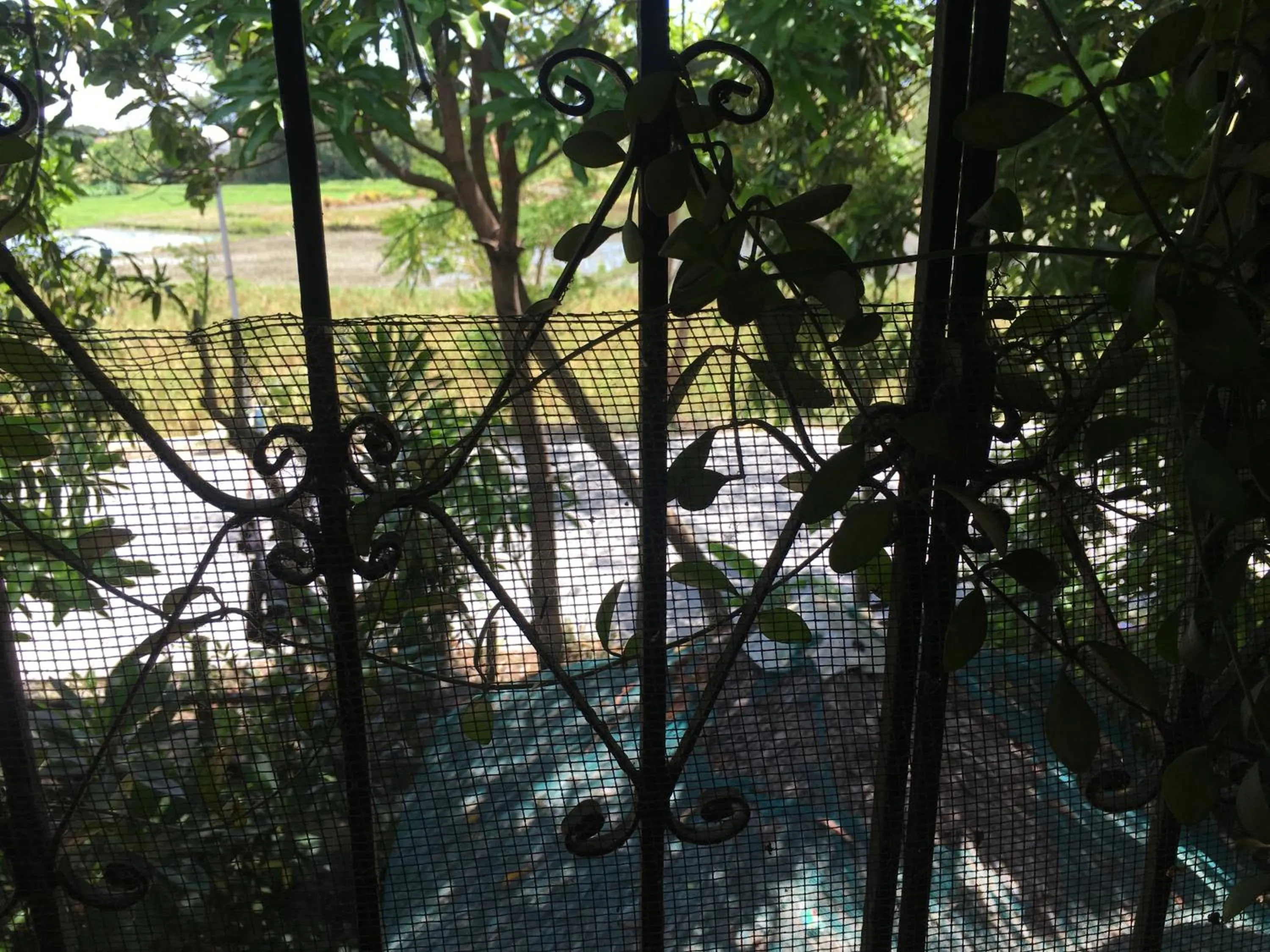 Double Room with Terrace in Guesthouse Cavite