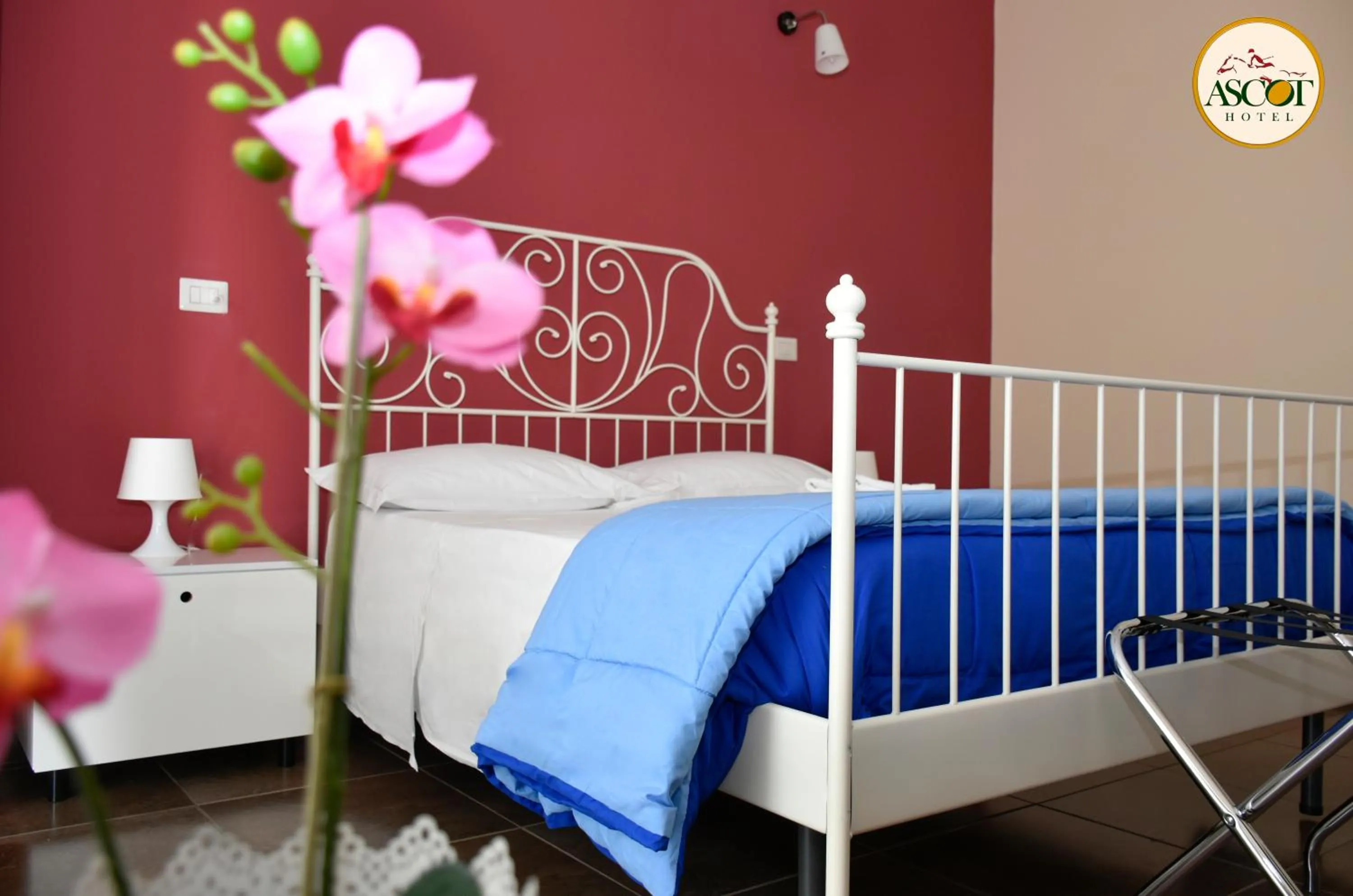 Standard Single Room in Hotel Ascot