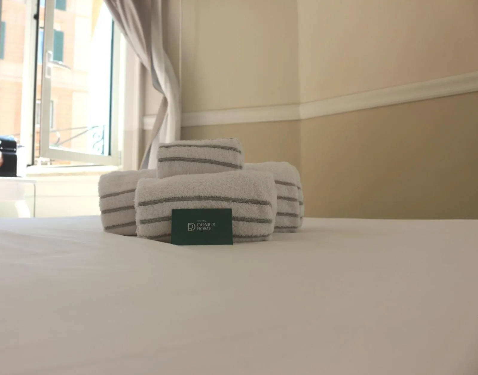 Double or Twin Room in Hotel Domus Rome