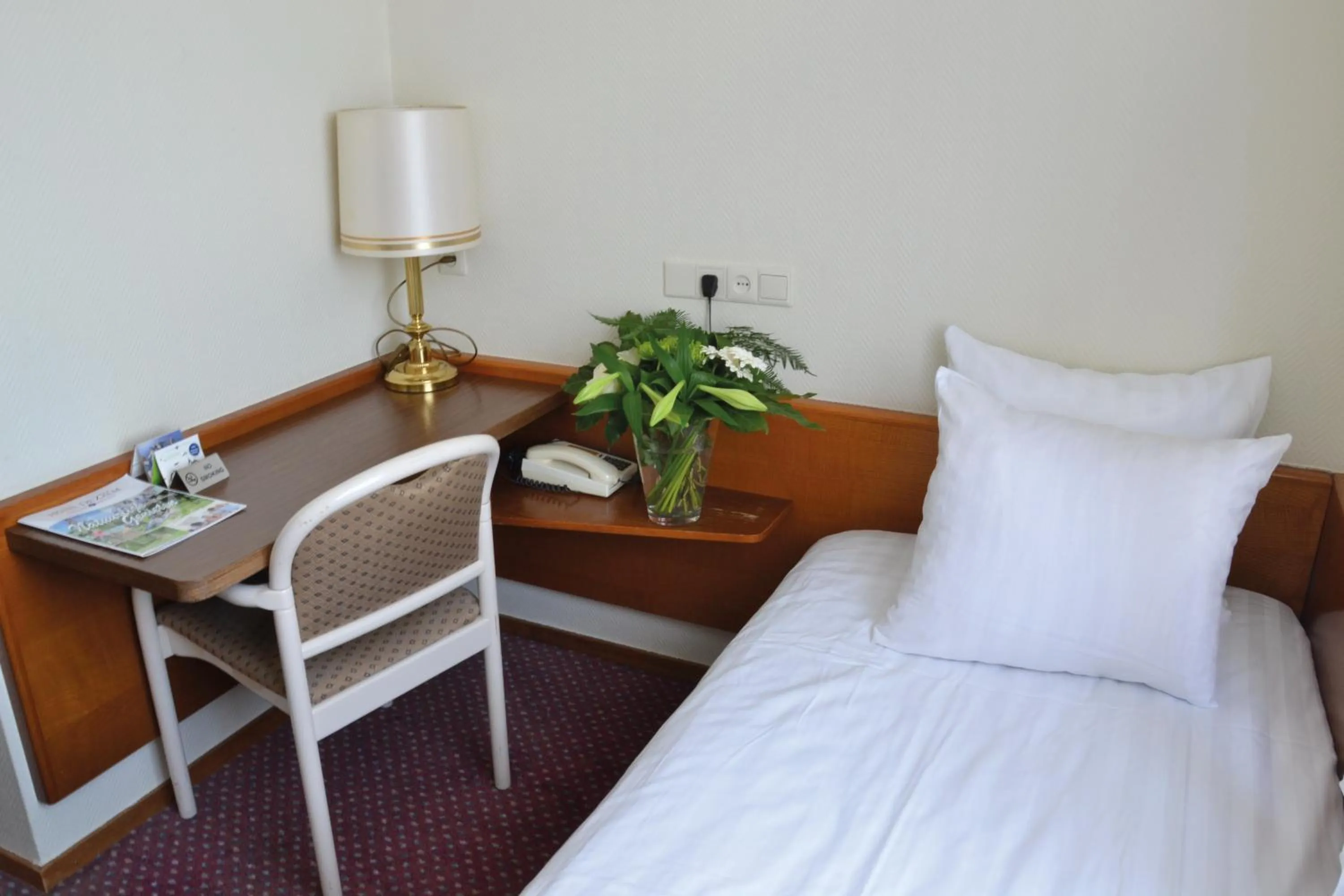 Single Room in Fletcher Hotel De Zalm