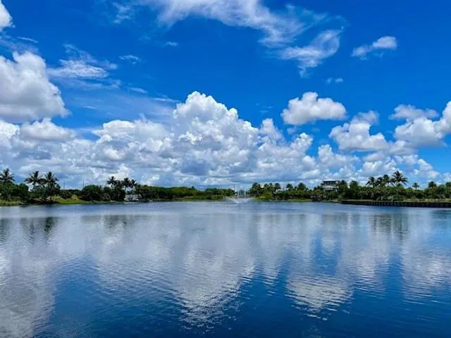 One-Bedroom King Suite with Wet Bar in Hampton Inn & Suites Naples South