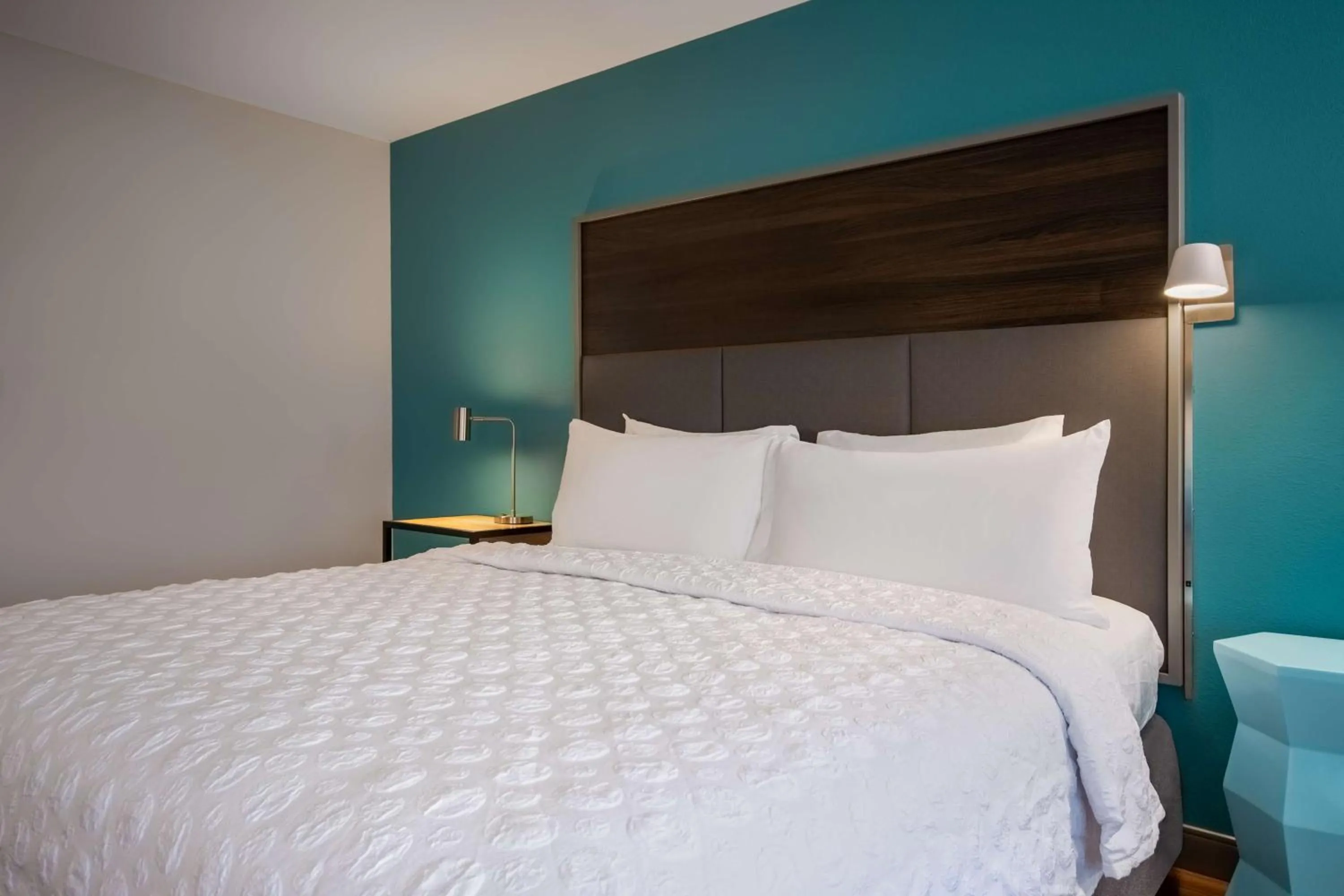 King Room with Bath Tub - Mobility Access in Tru By Hilton Merrillville