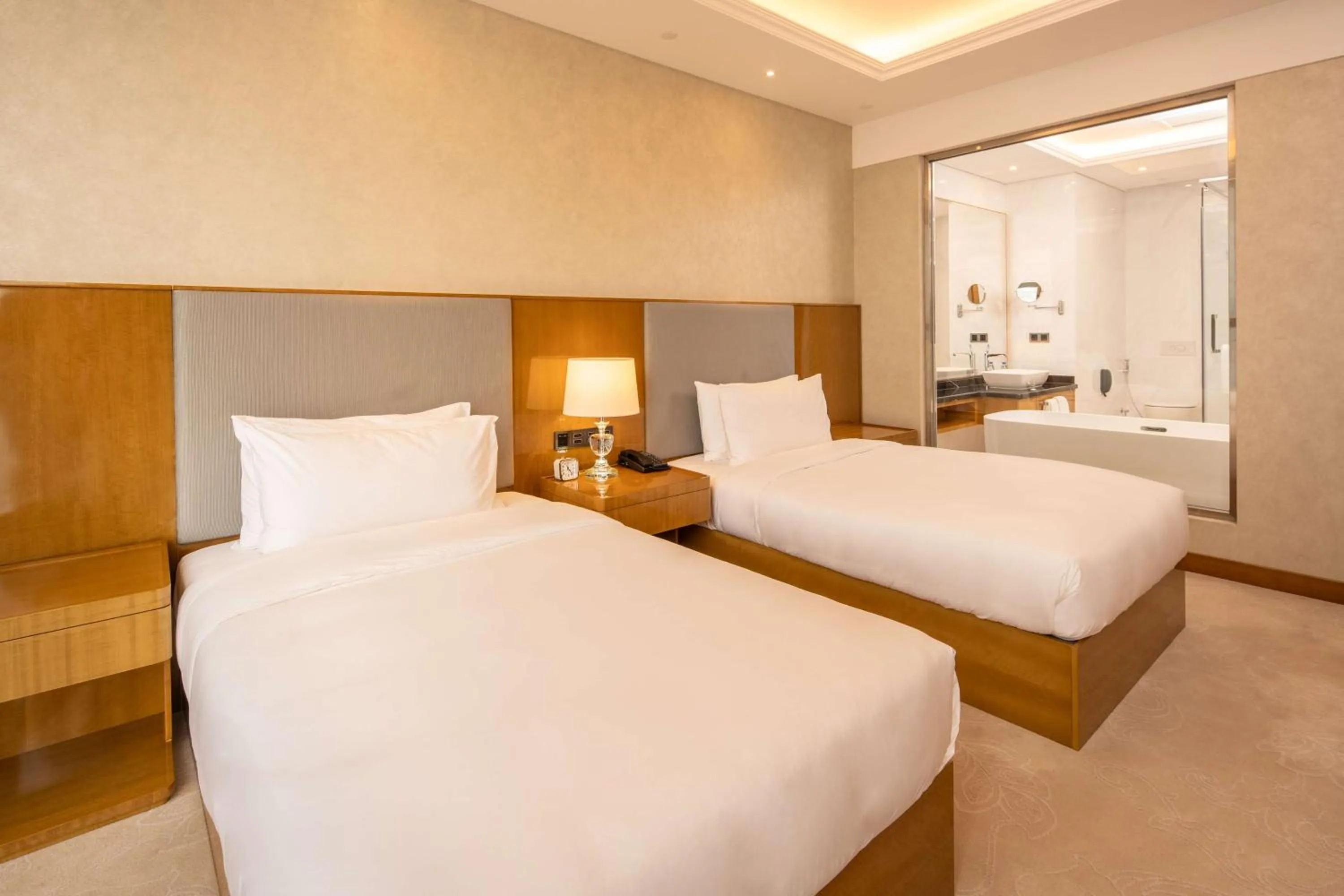 Twin Room in Hilton Brazzaville Les Tours Jumelles Hotel & Residences