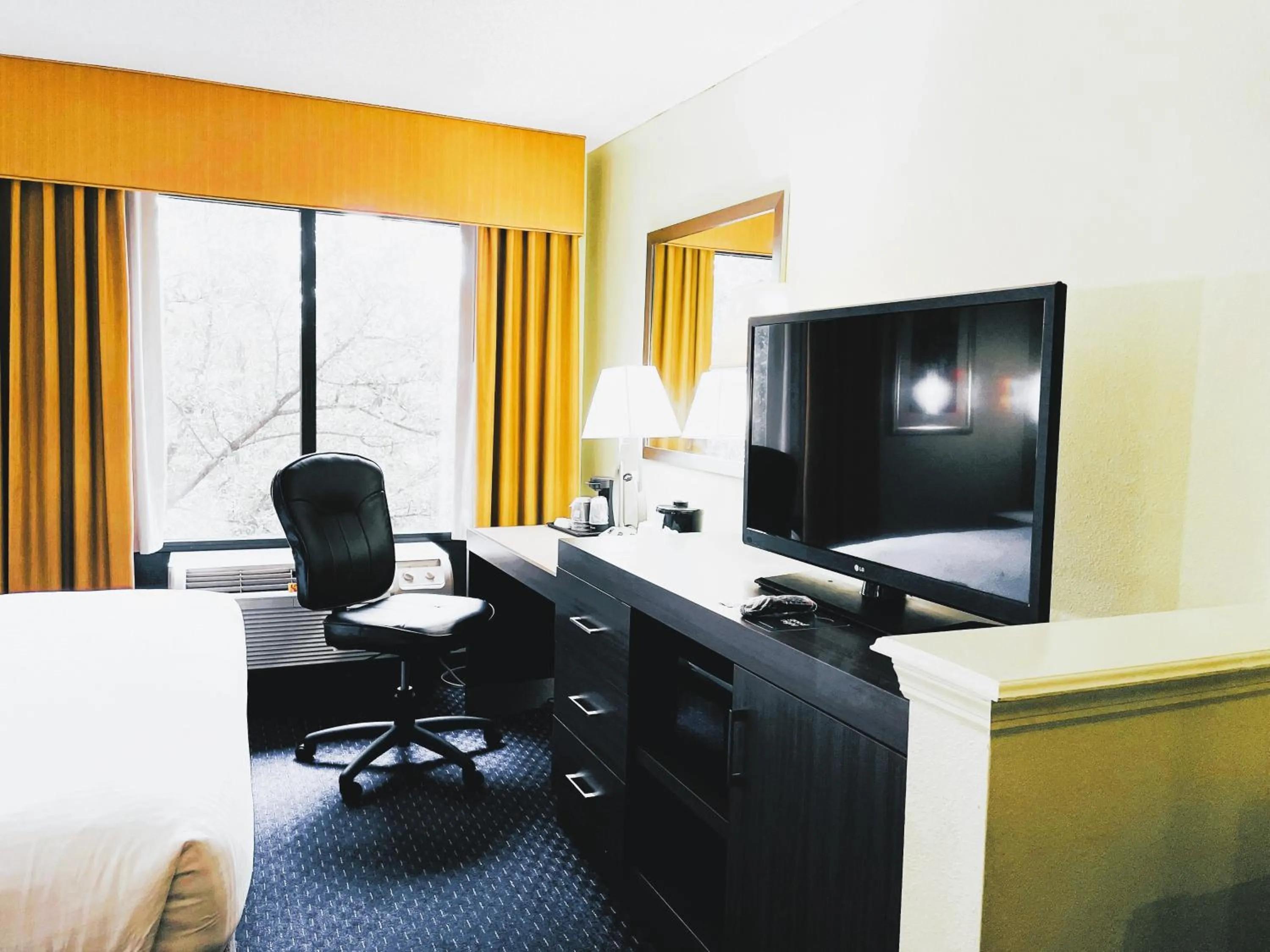 King Guest Room in Park Inn by Radisson Albany