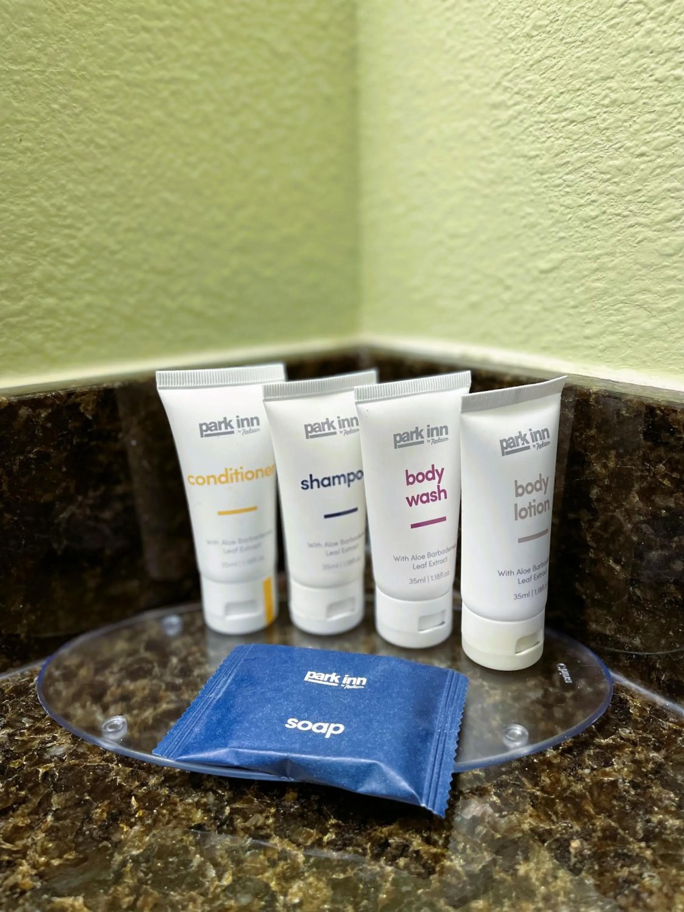 Studio Suite with King Bed and Sofa Bed in Park Inn by Radisson Albany