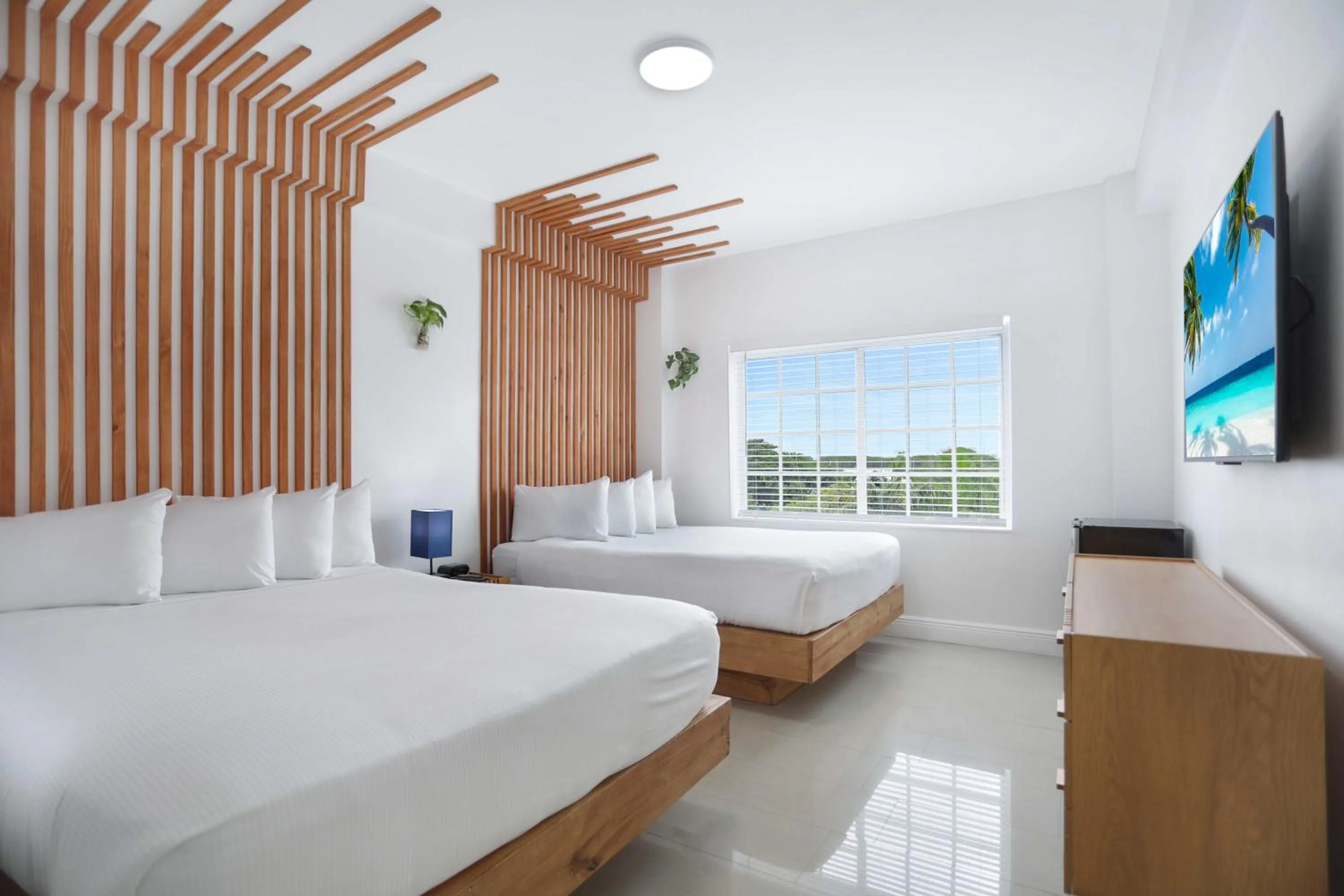 Superior Double  in Hotel Belleza