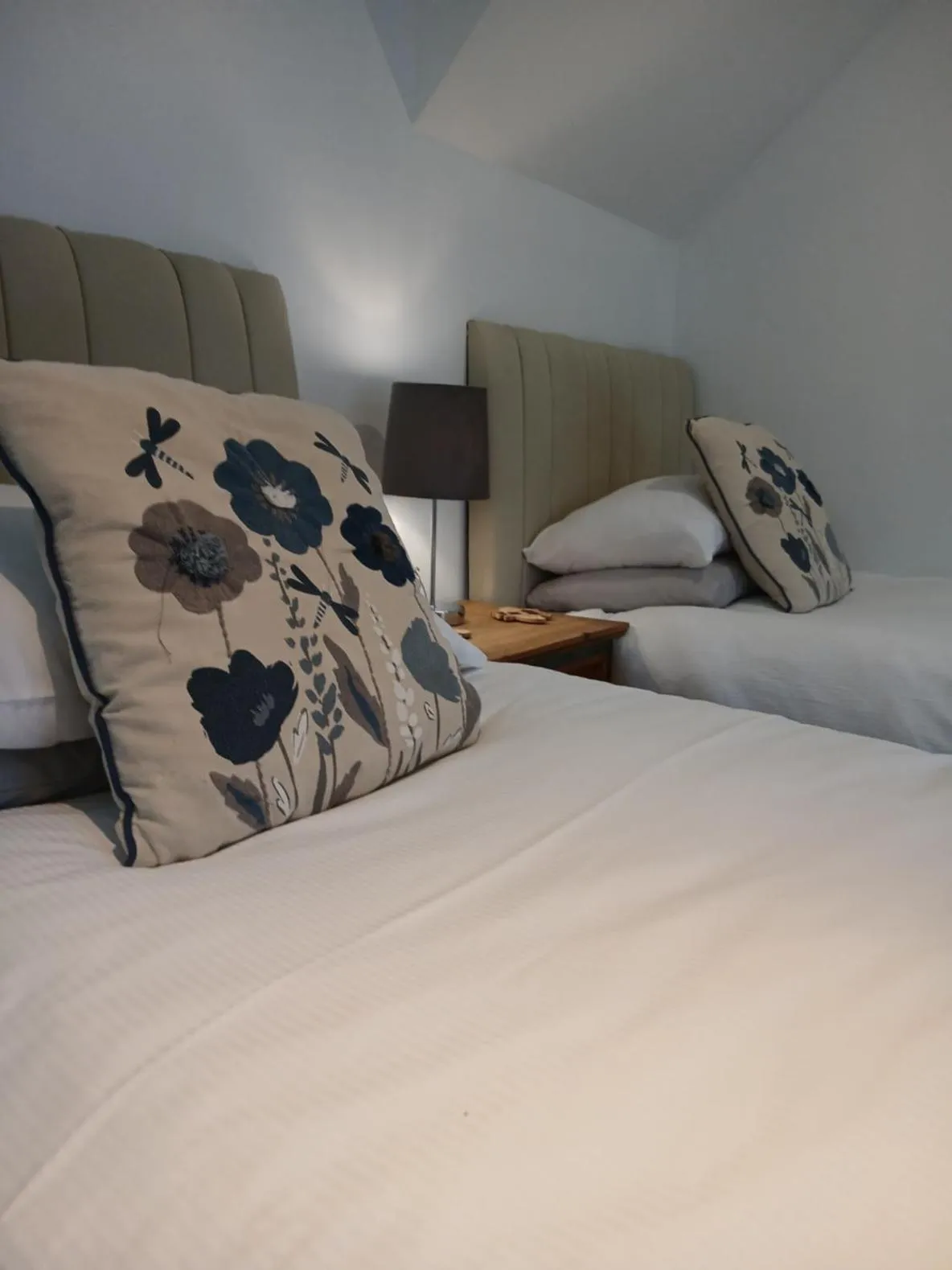 Standard Twin Room in The Downe Arms Inn