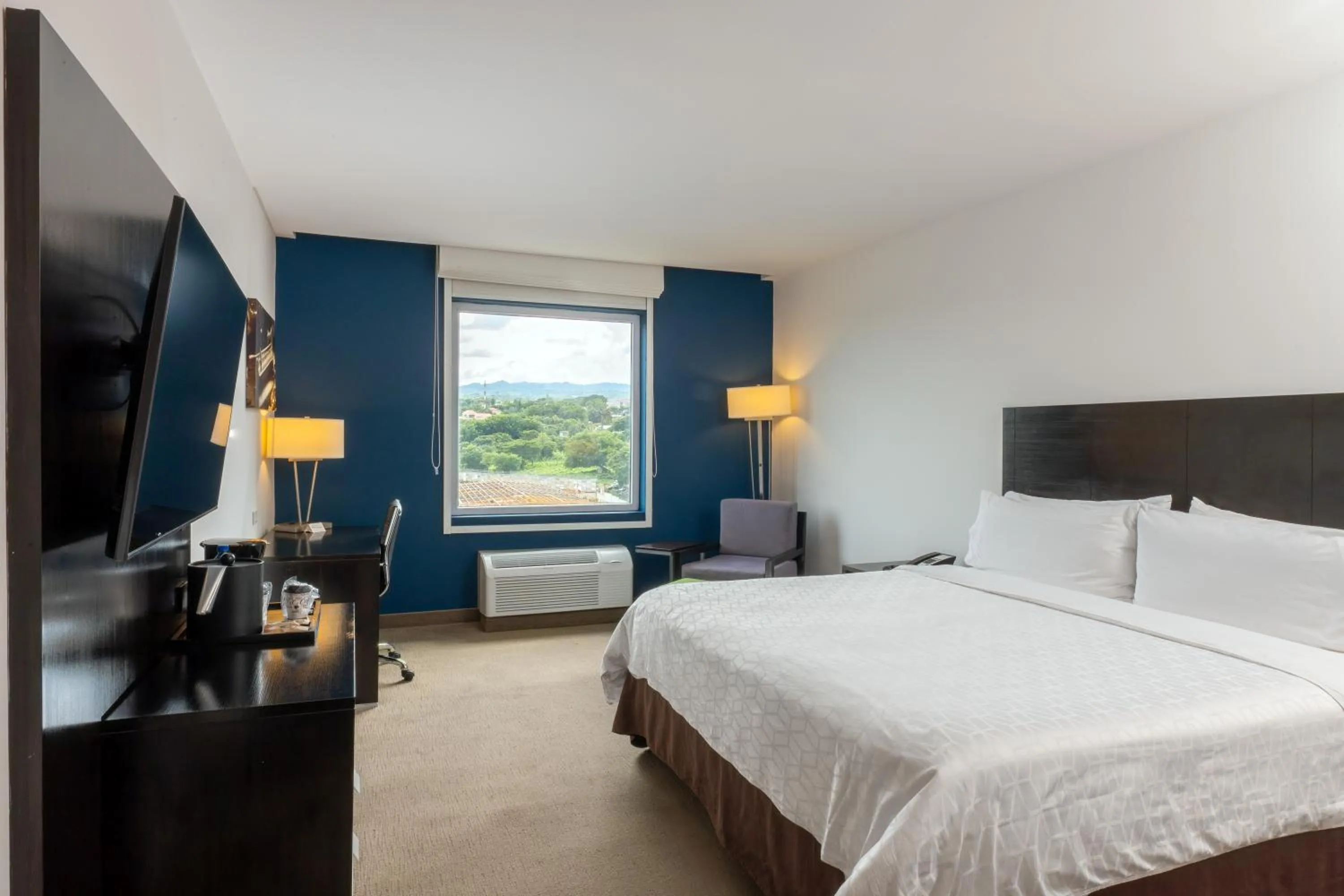Standard King Room - single occupancy - Top Floor in Holiday Inn Express Managua by IHG