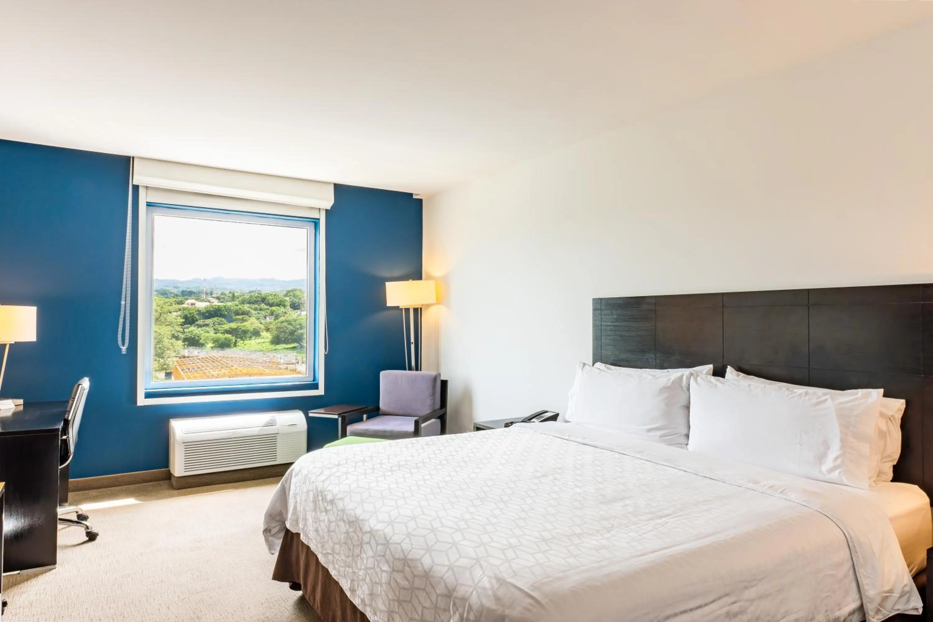 Standard King Room - single occupancy in Holiday Inn Express Managua by IHG