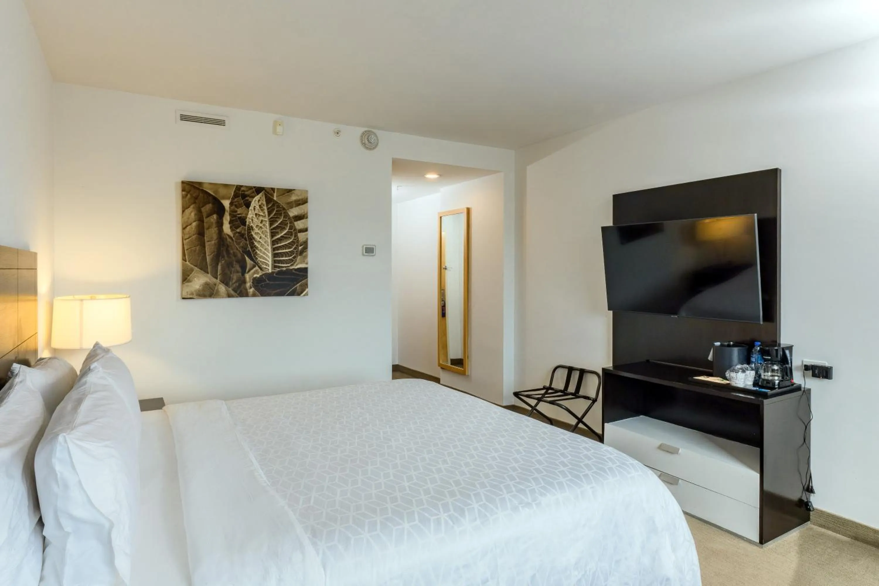 Standard Room - single occupancy in Holiday Inn Express Managua by IHG