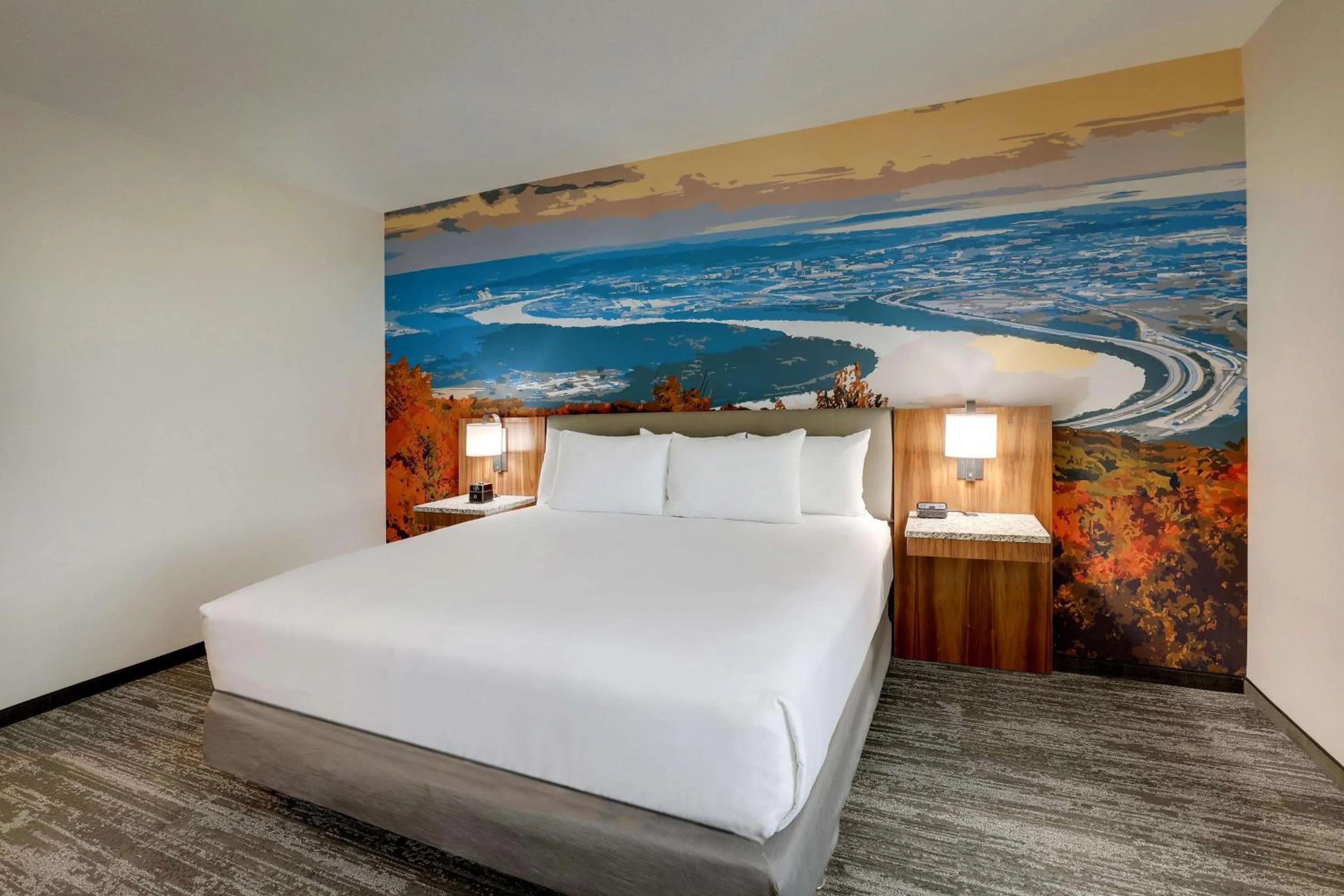 Upper Floor 1 King Bed - Accessible, Tub in Drury Plaza Hotel Chattanooga Hamilton Place