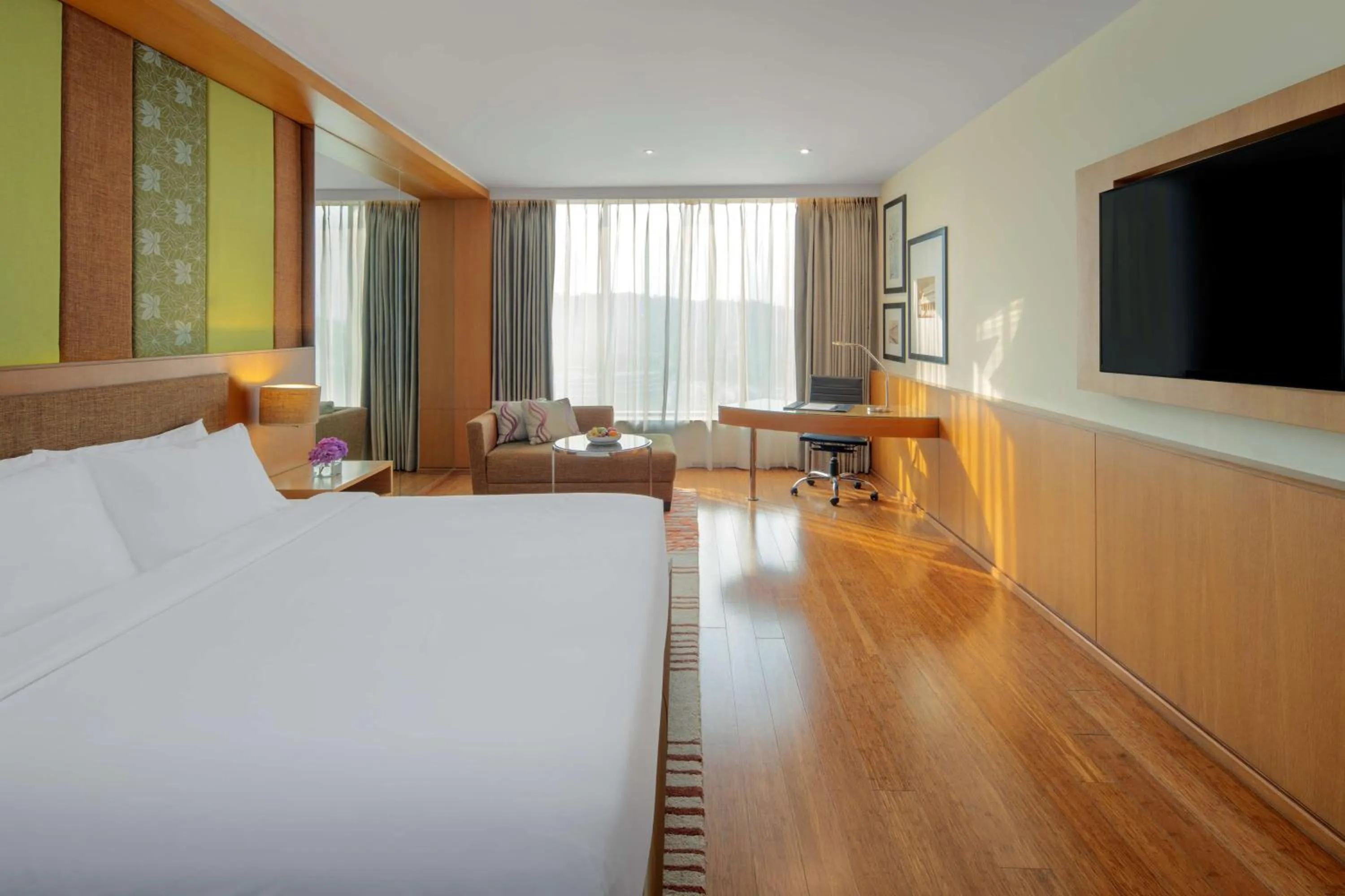 Business Class Room with Bath tub, free Wi-fi ,1 way airport transfer in Radisson Blu Hotel Guwahati