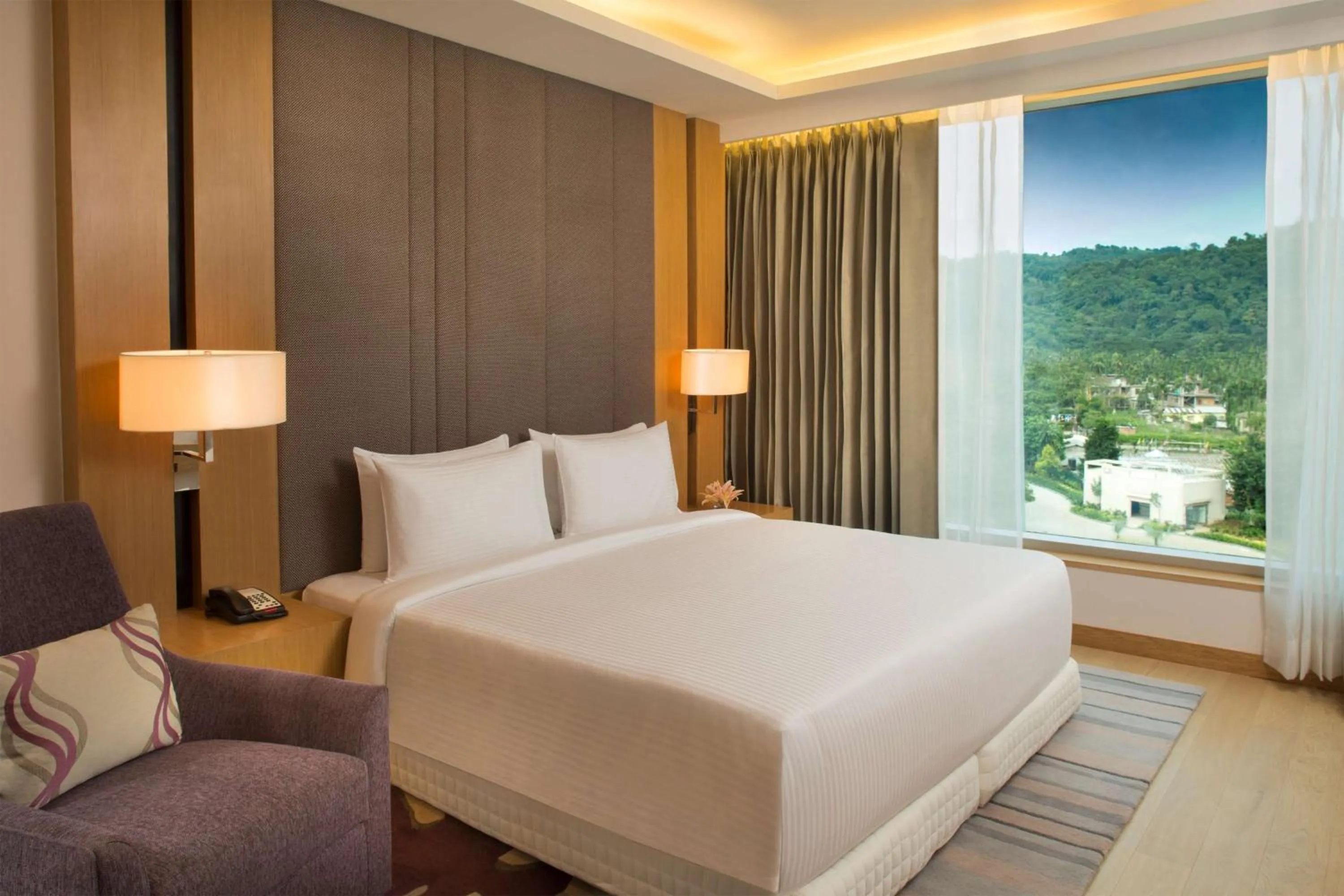 Suite Bedroom with separate living room & bed room with King bed, Bath tub , free Wi-fi , 2 way airport transfer, bottle of complimentary House wine in Radisson Blu Hotel Guwahati