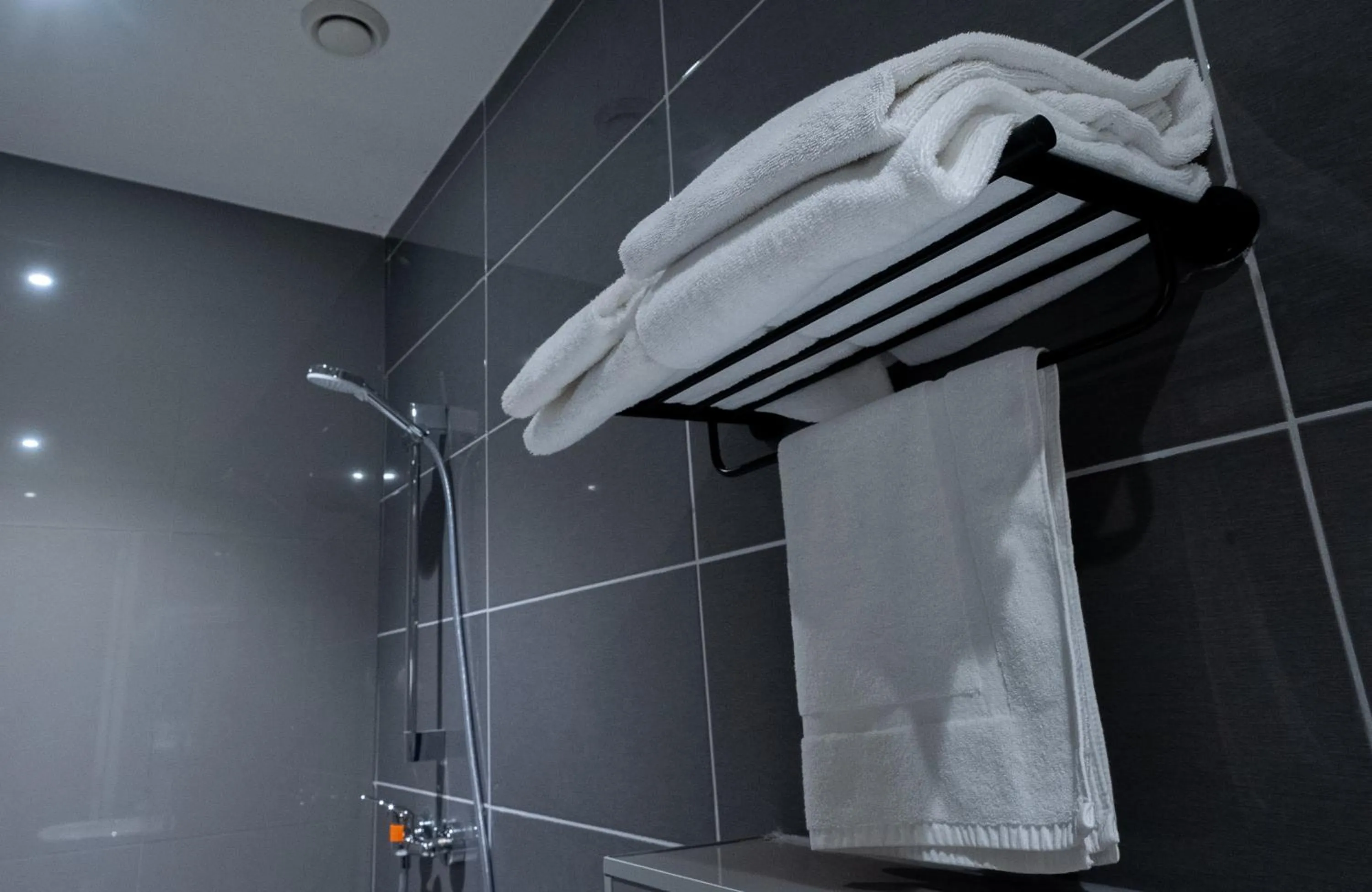 Triple Room in MA Airport Hotel