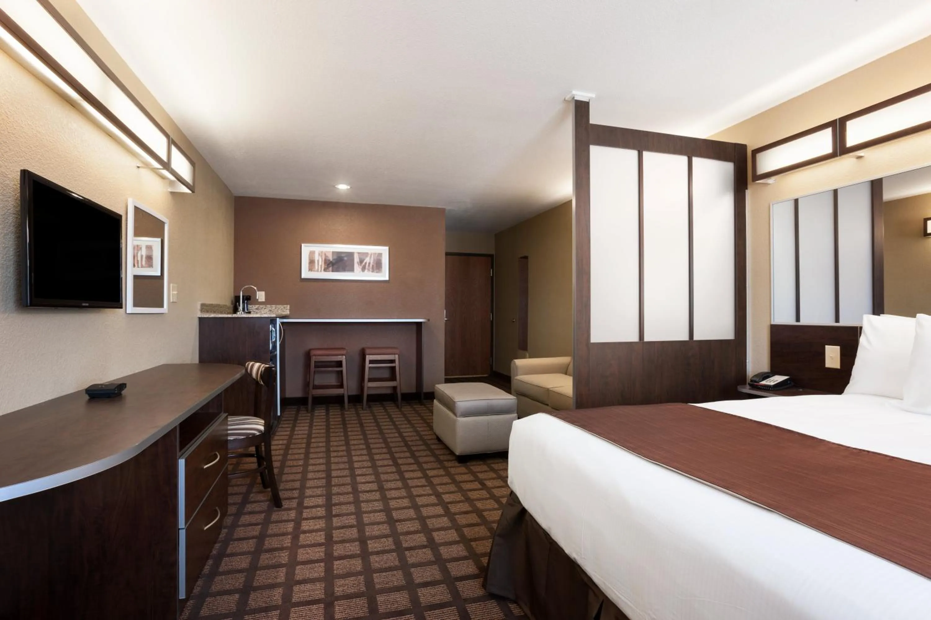 One-Bedroom Suite - Disability Access/Non-Smoking in Microtel Inn & Suites by Wyndham