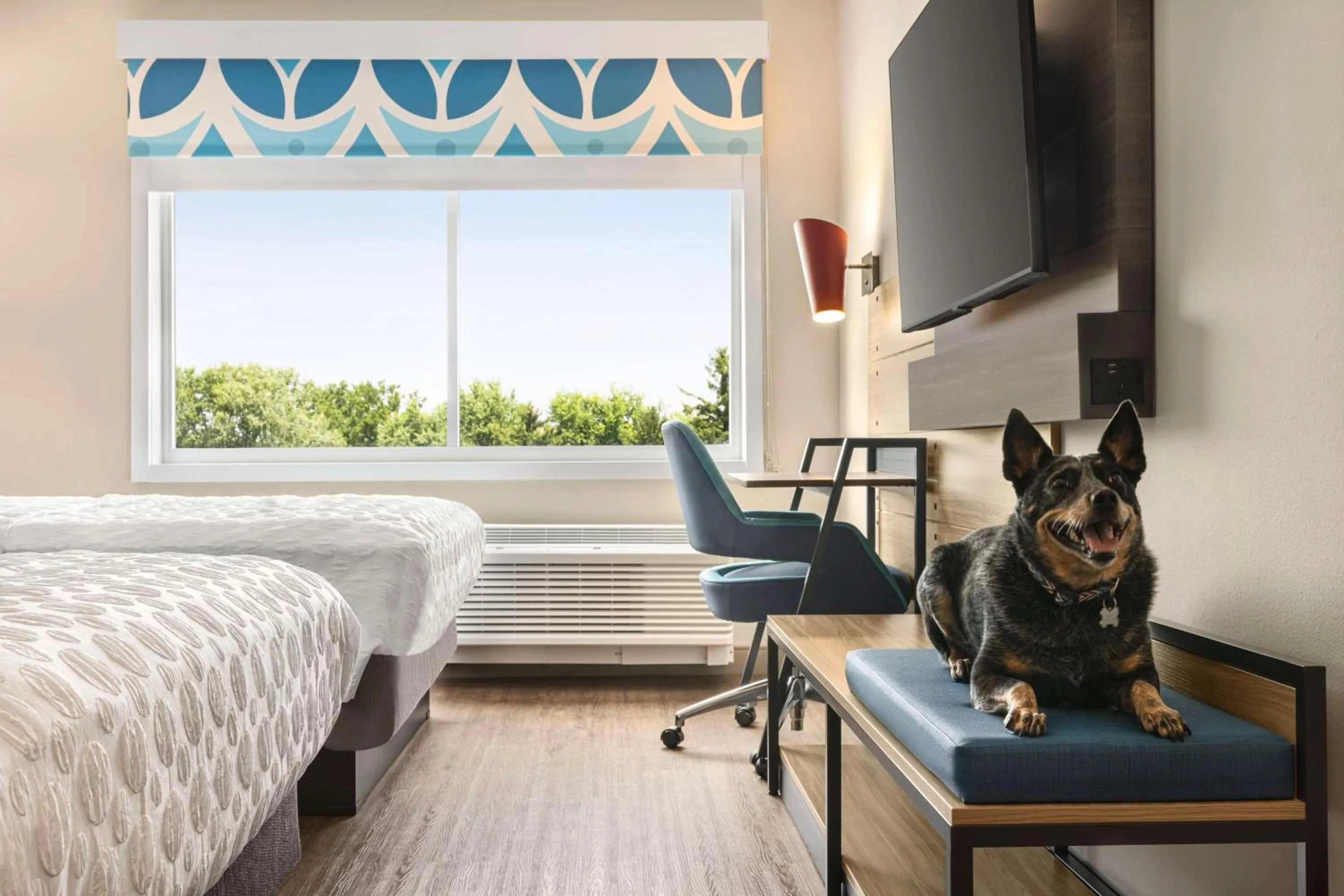 Queen Room with Two Queen Beds and Walk-In Shower in Tru By Hilton Martinsburg