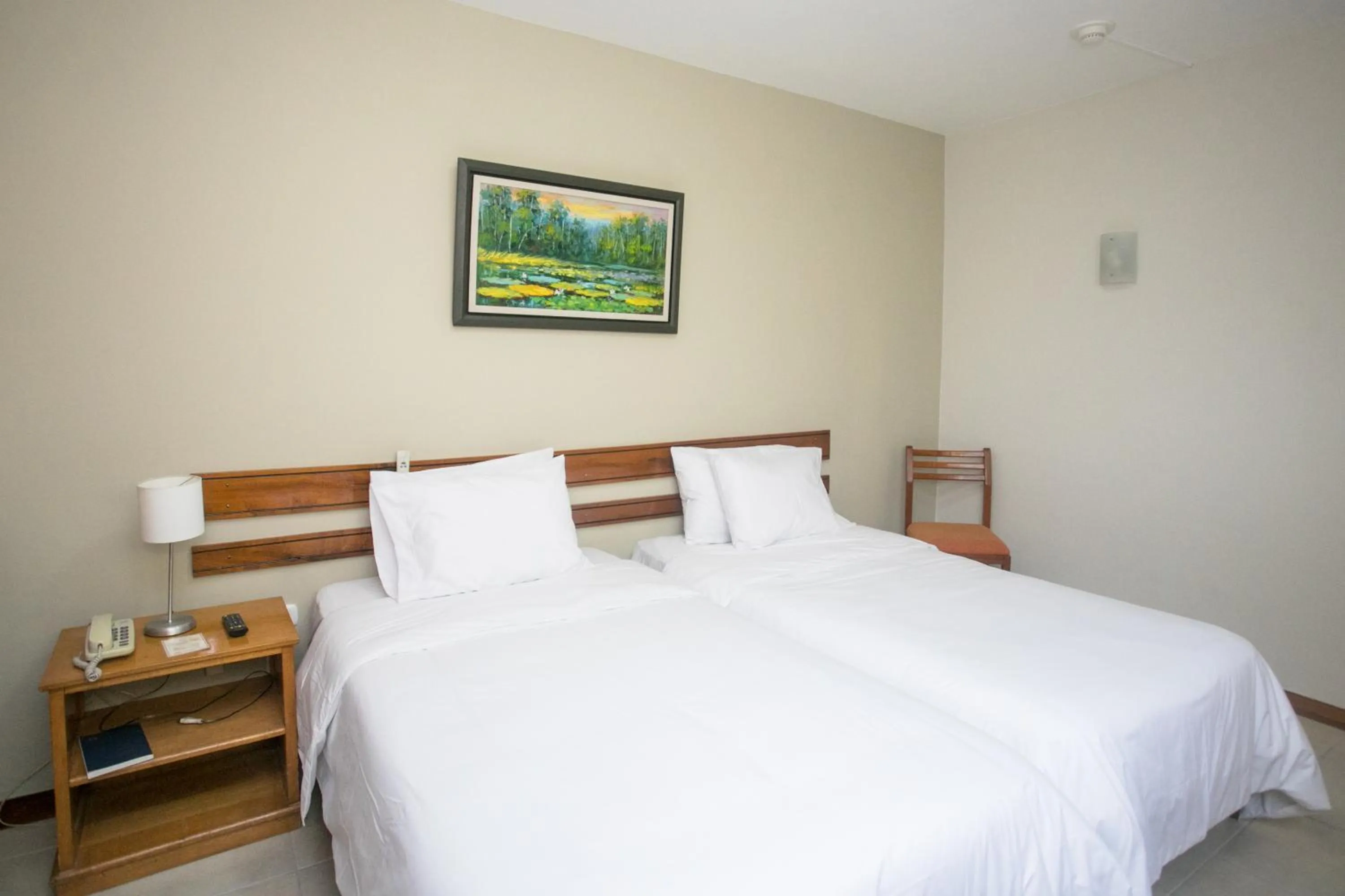 Twin Room in Hotel Acosta